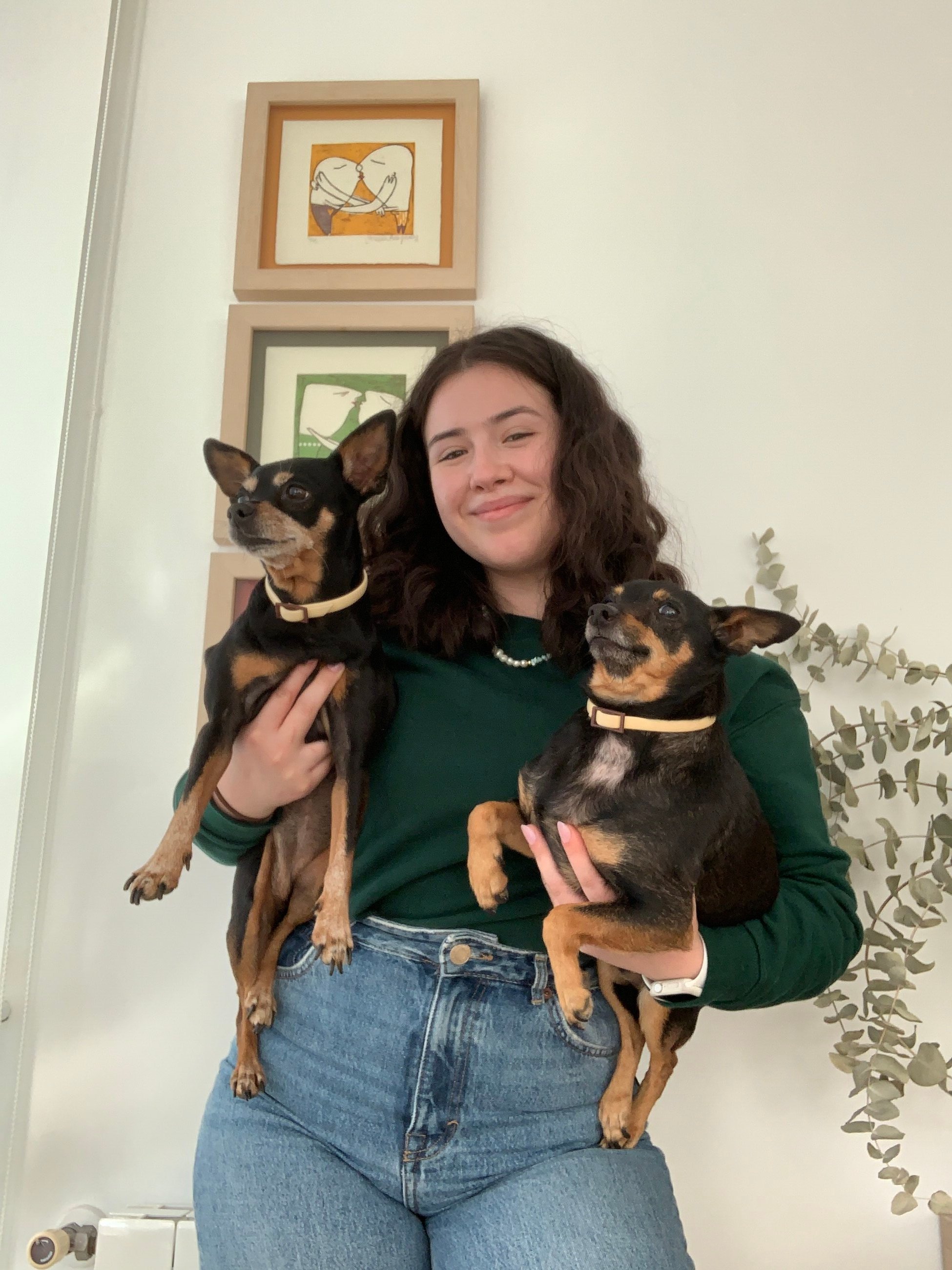 My host family's dogs