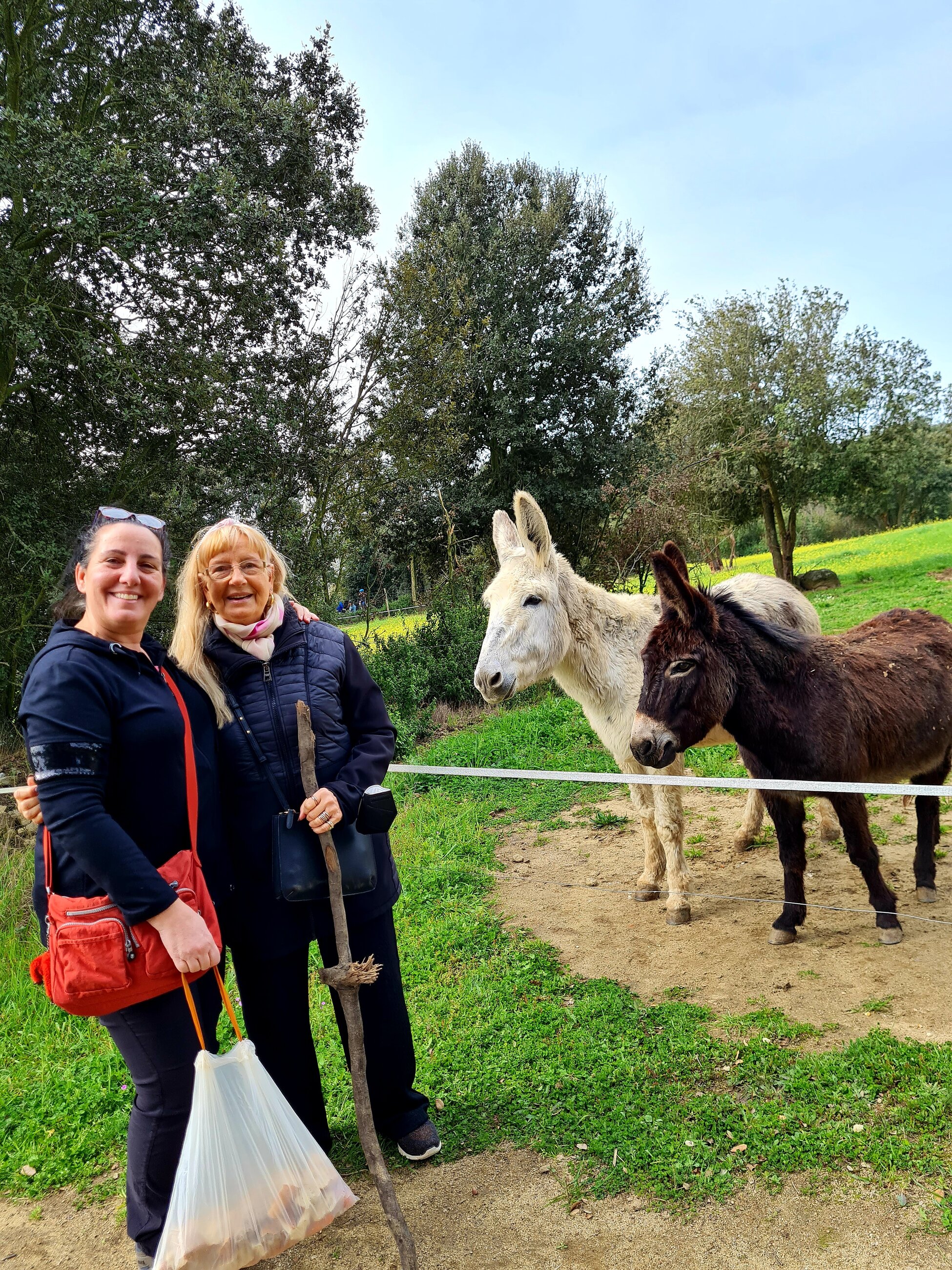 Visit to Rukimon, a donkey reserve in the Montnege i Corredor Park