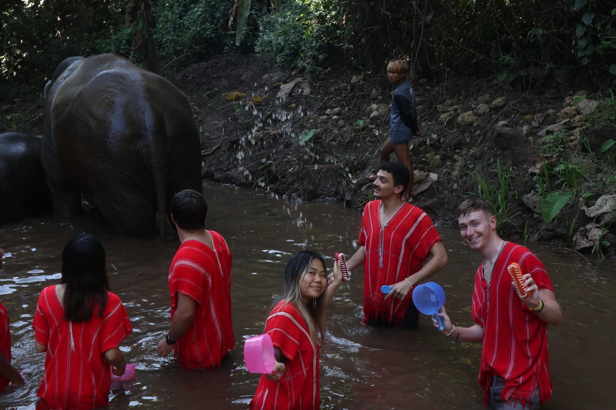 Elephants