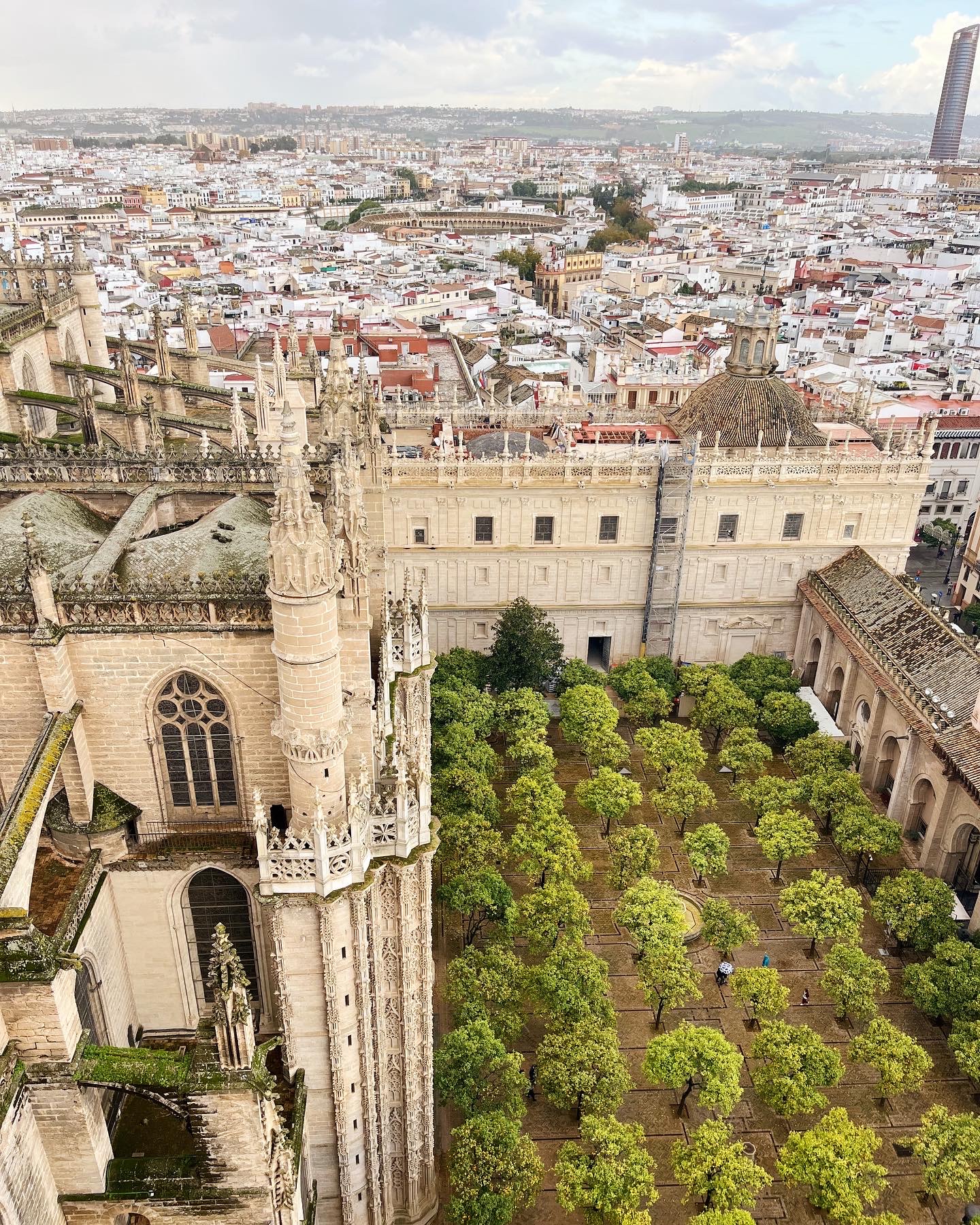 The view from the cathedral in Seville 