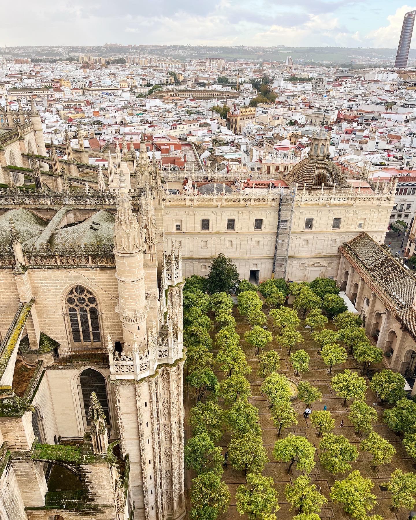 The view from the cathedral in Seville