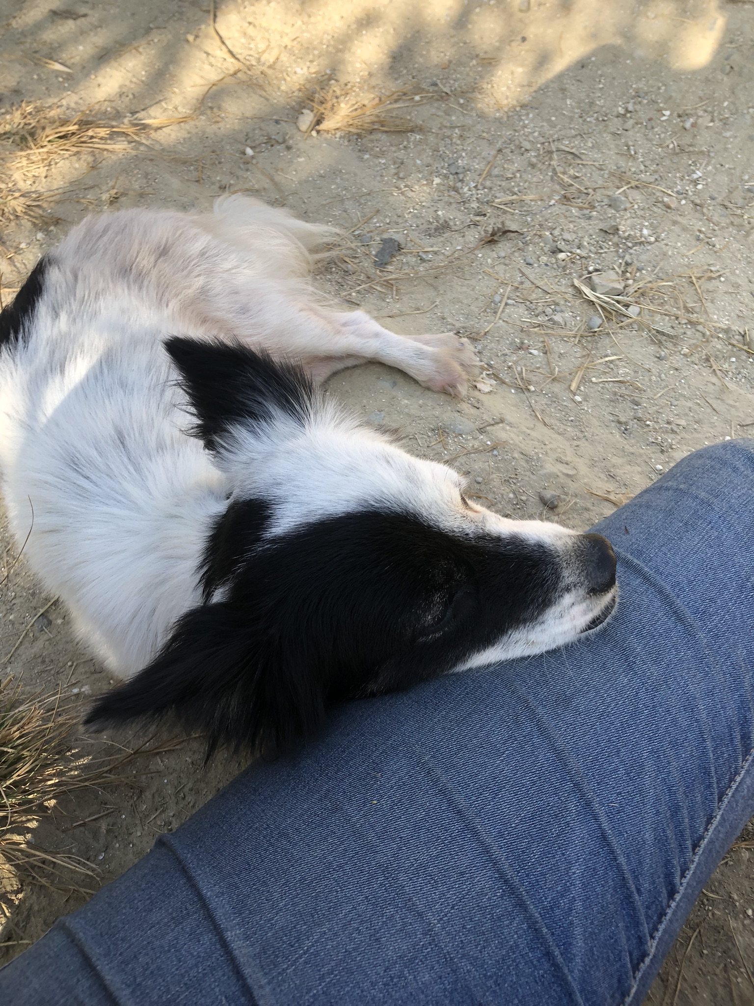 sleeping