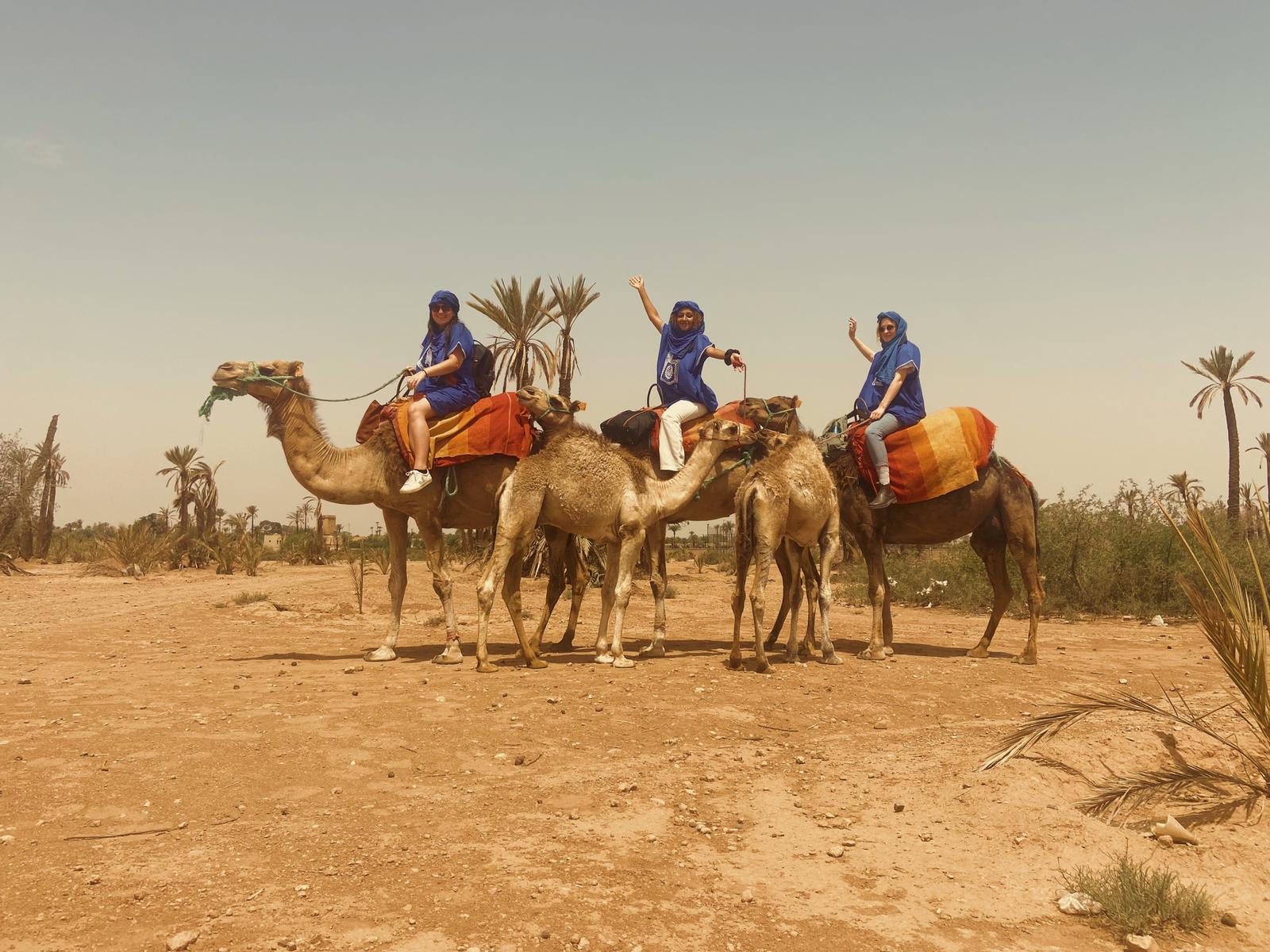 I got to ride a camel!