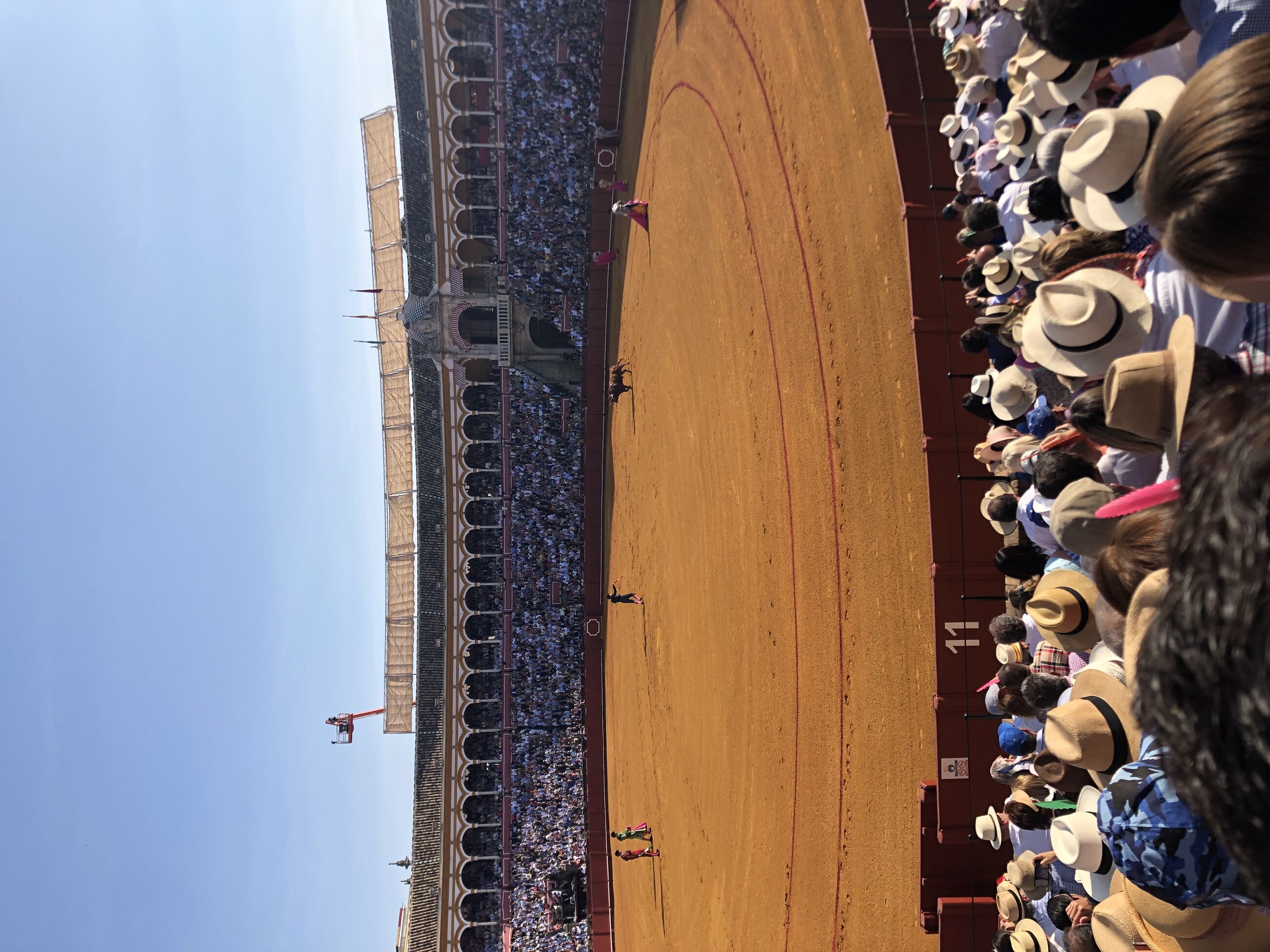 Bull fight in Seville