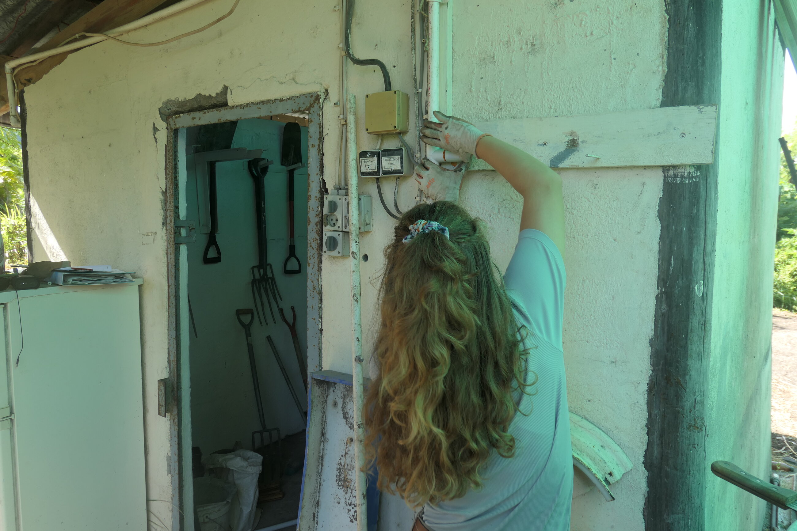 working at the water pipe for the seed nursery