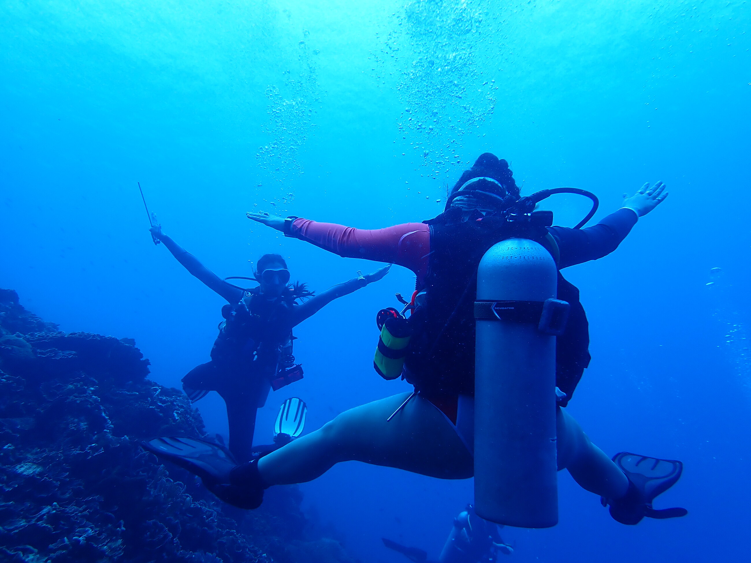 Fun dives