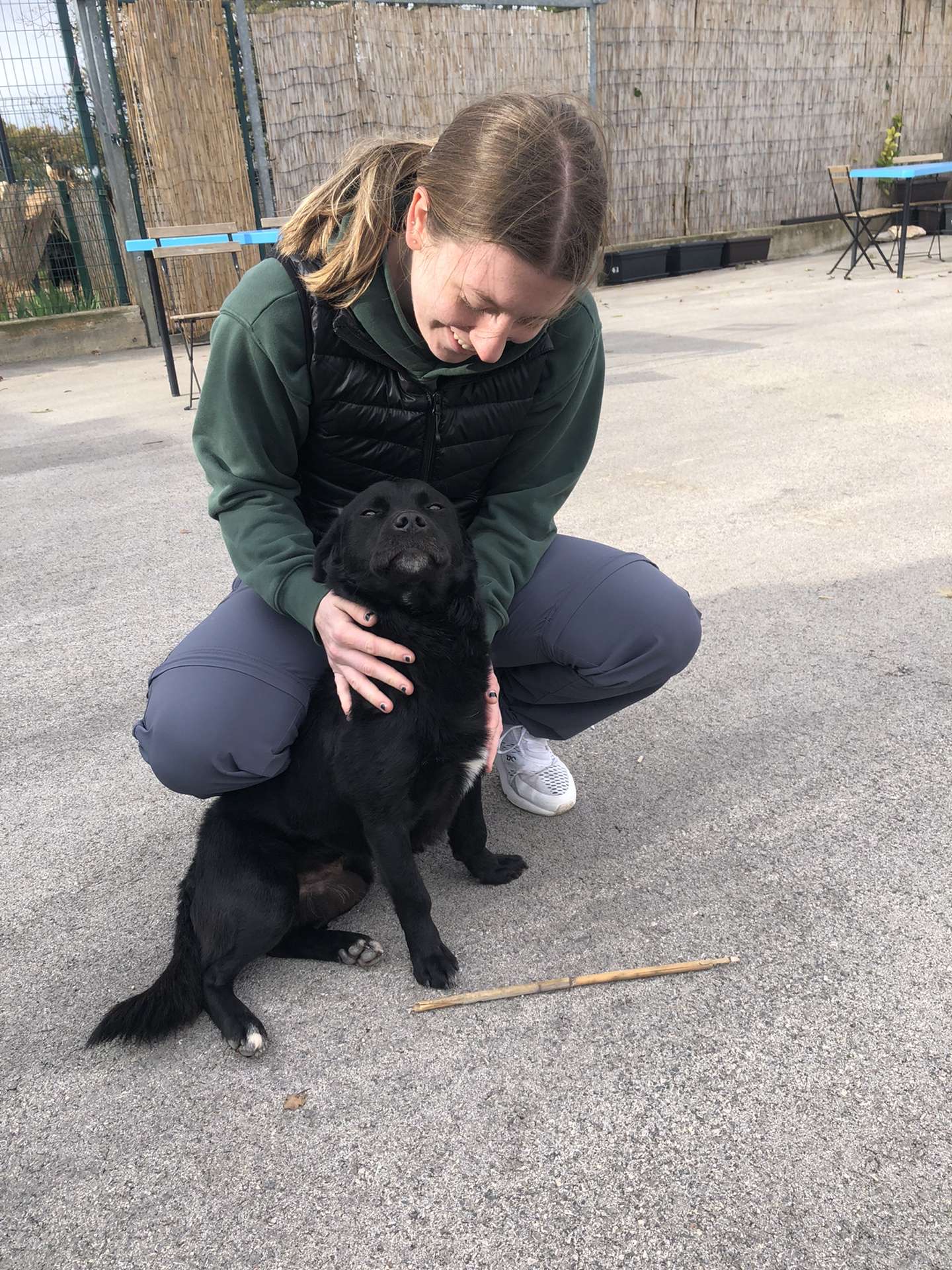 Me playing with one of the dogs at the shelter :)