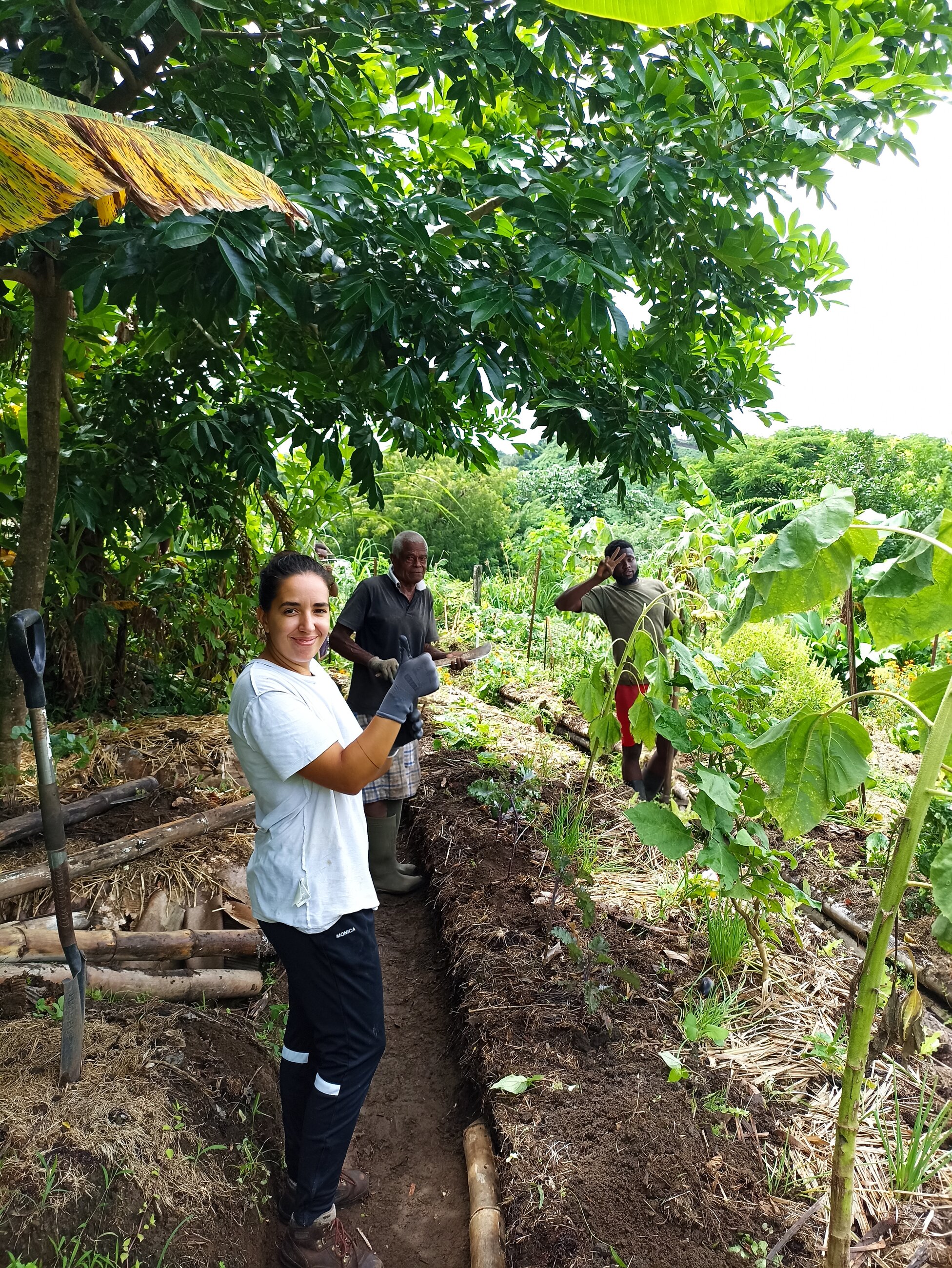 Fixing the lasagna beds of our organic garden