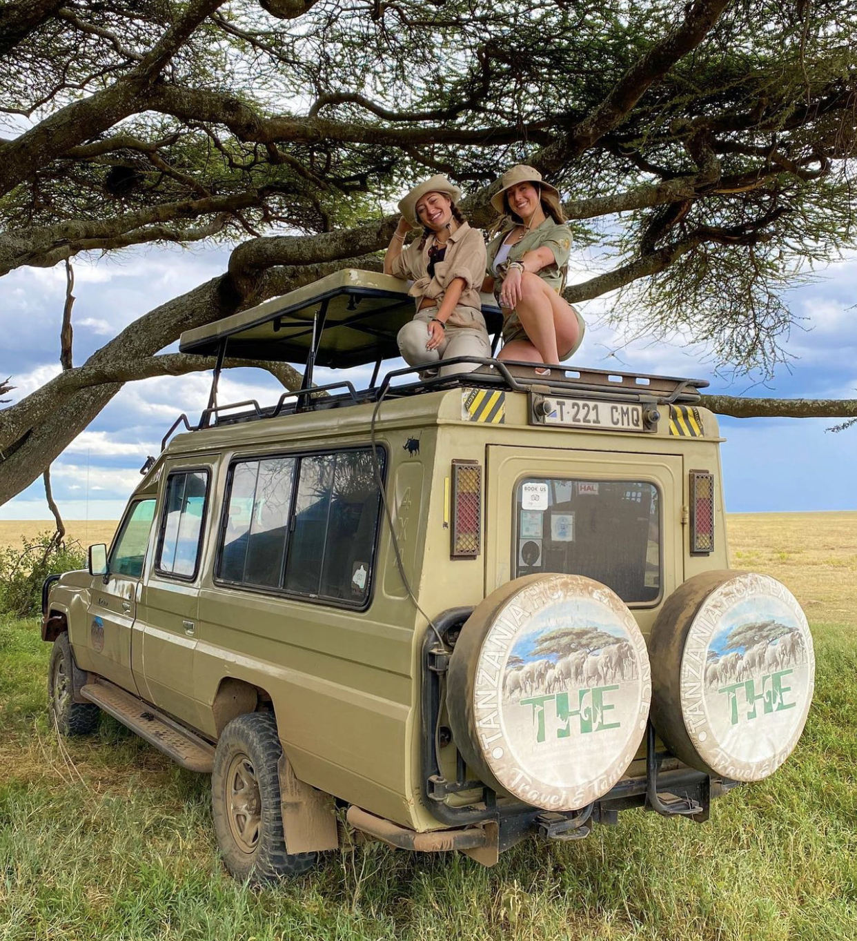 safari