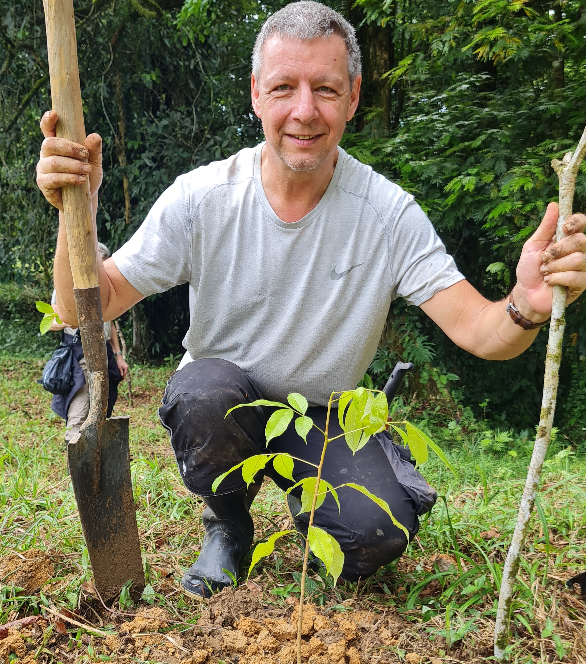 Treeplanting