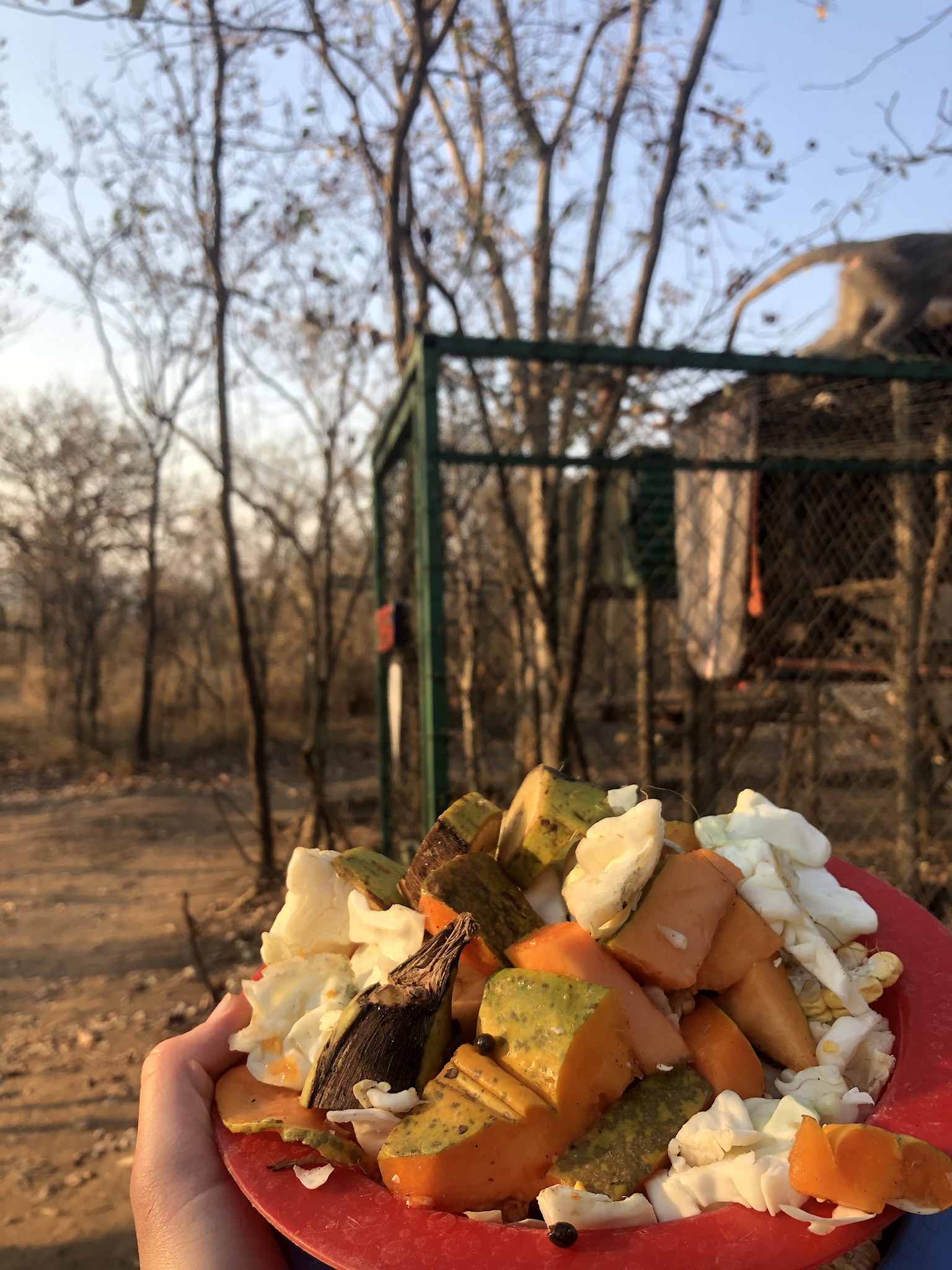 Food Delivery