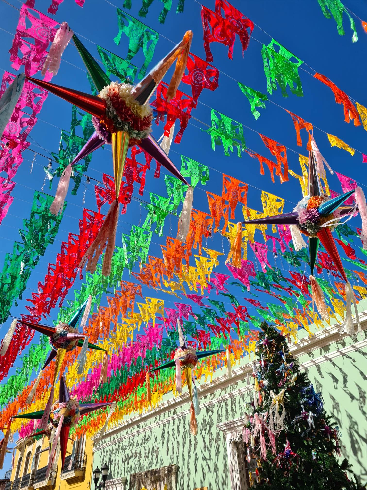 Oaxaca