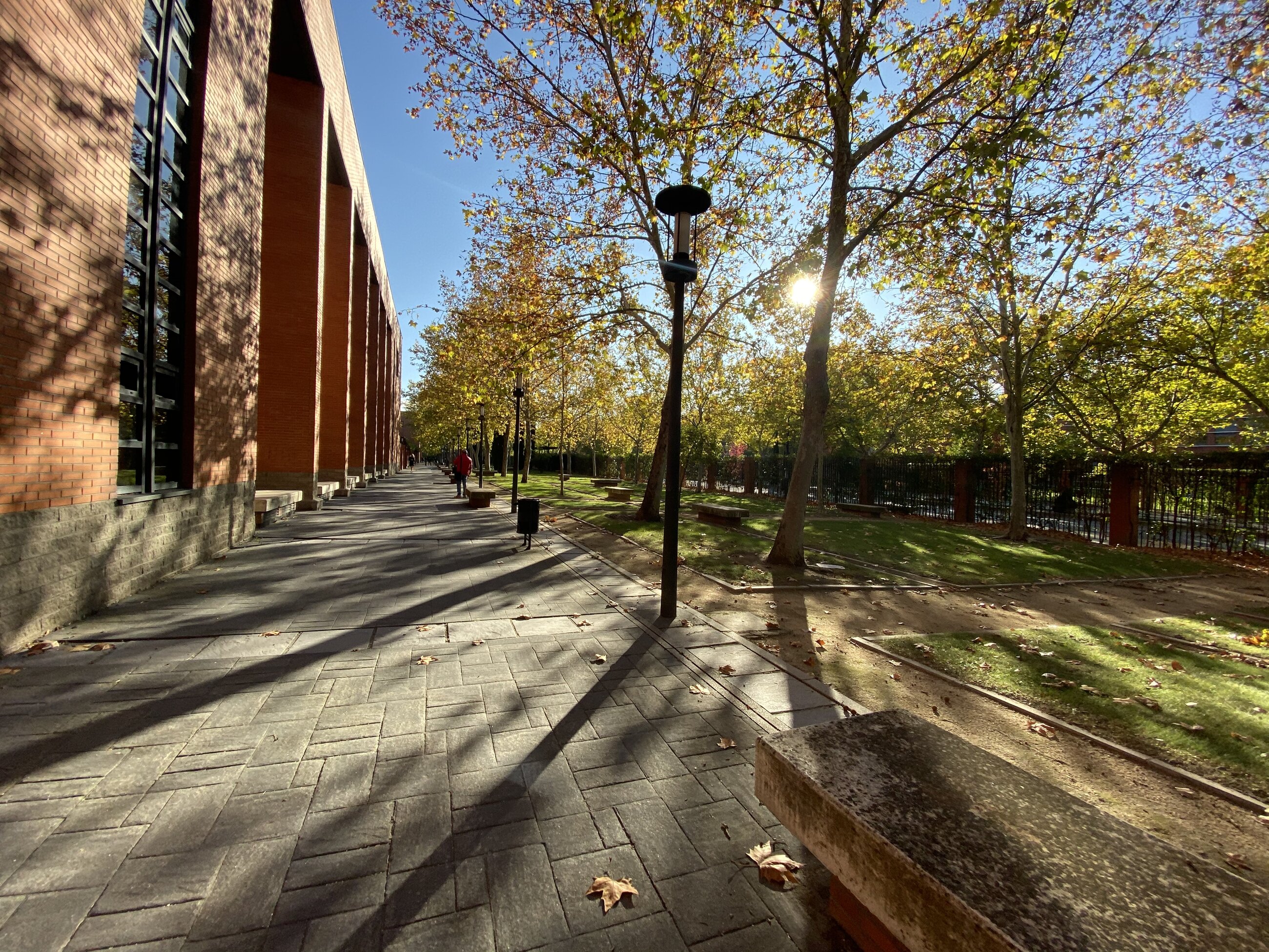 Carlos III University