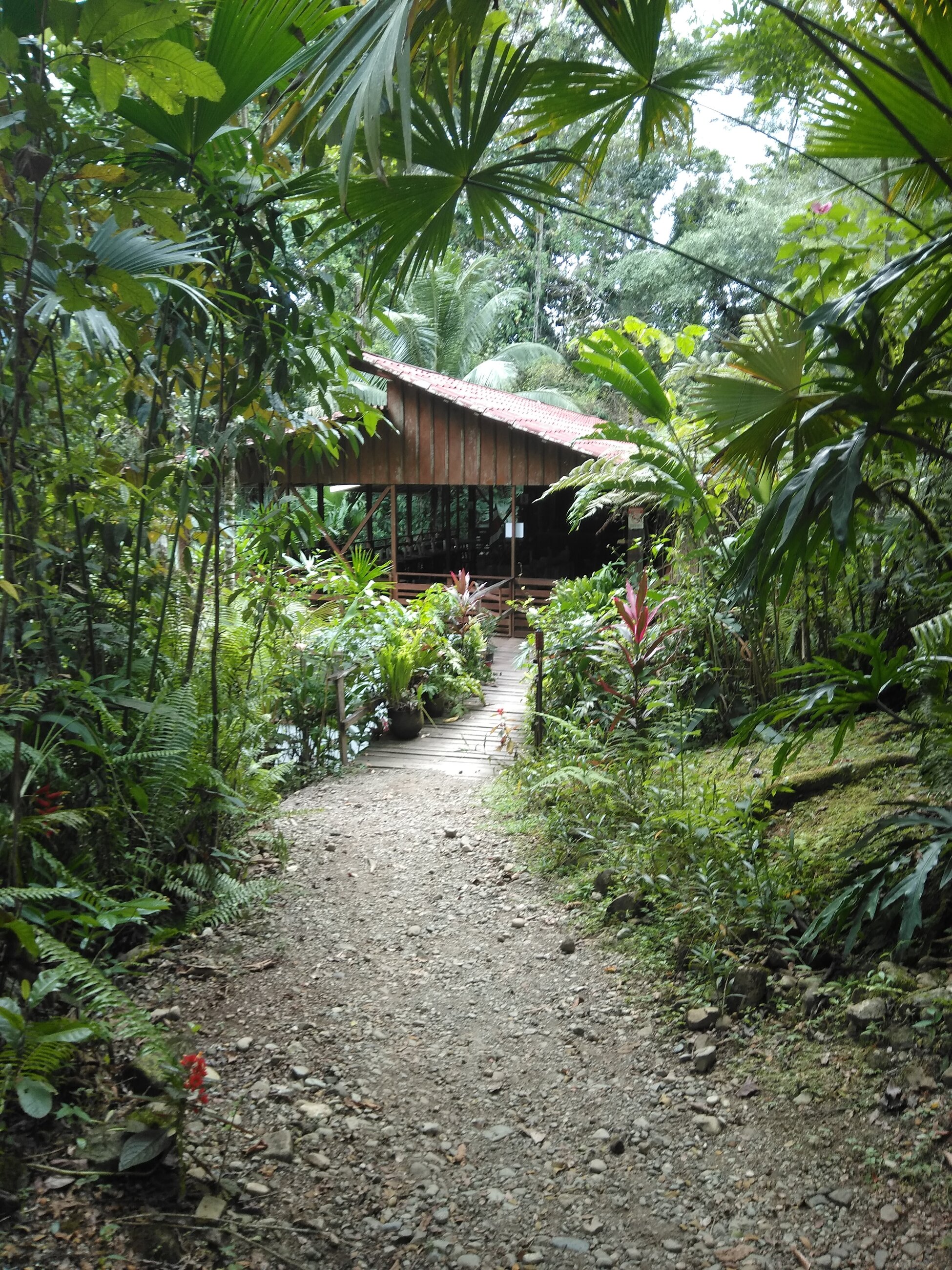 Eco Lodge