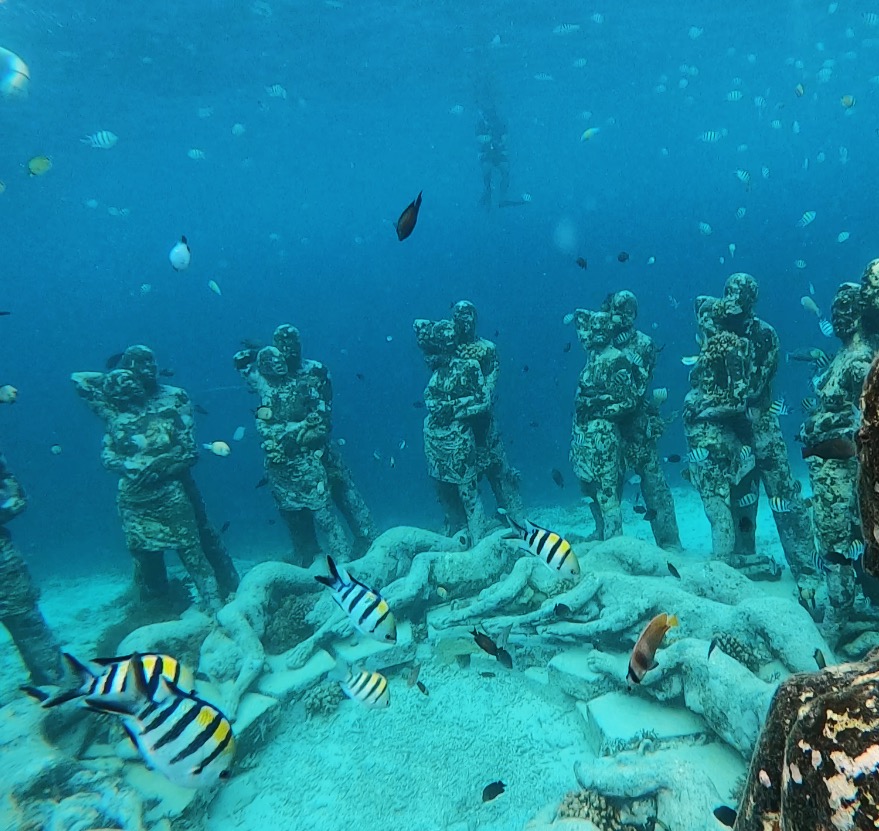 Snorkeling at Gili!