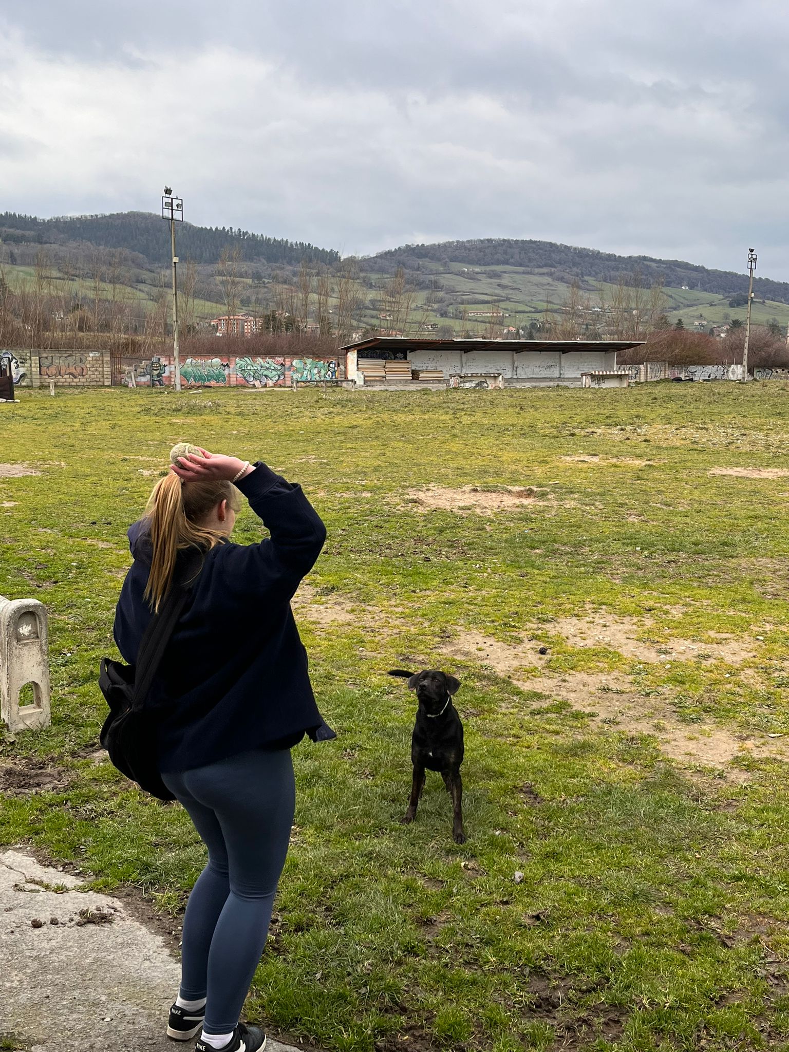 Playing with dogs