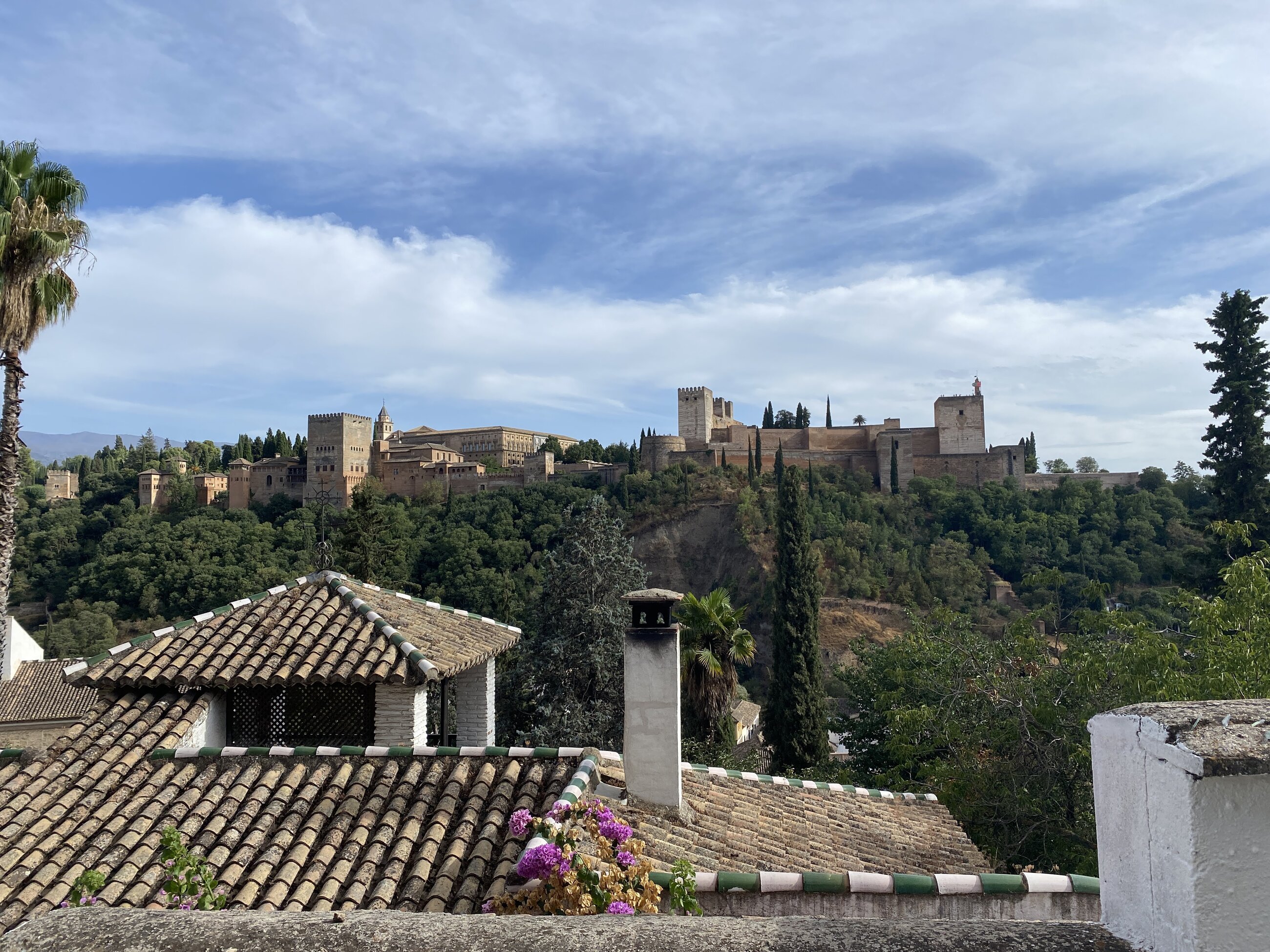 View of Alhambra Palace from the Albaícin neighborhood