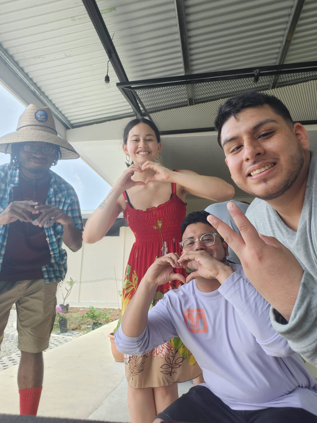 Amigos