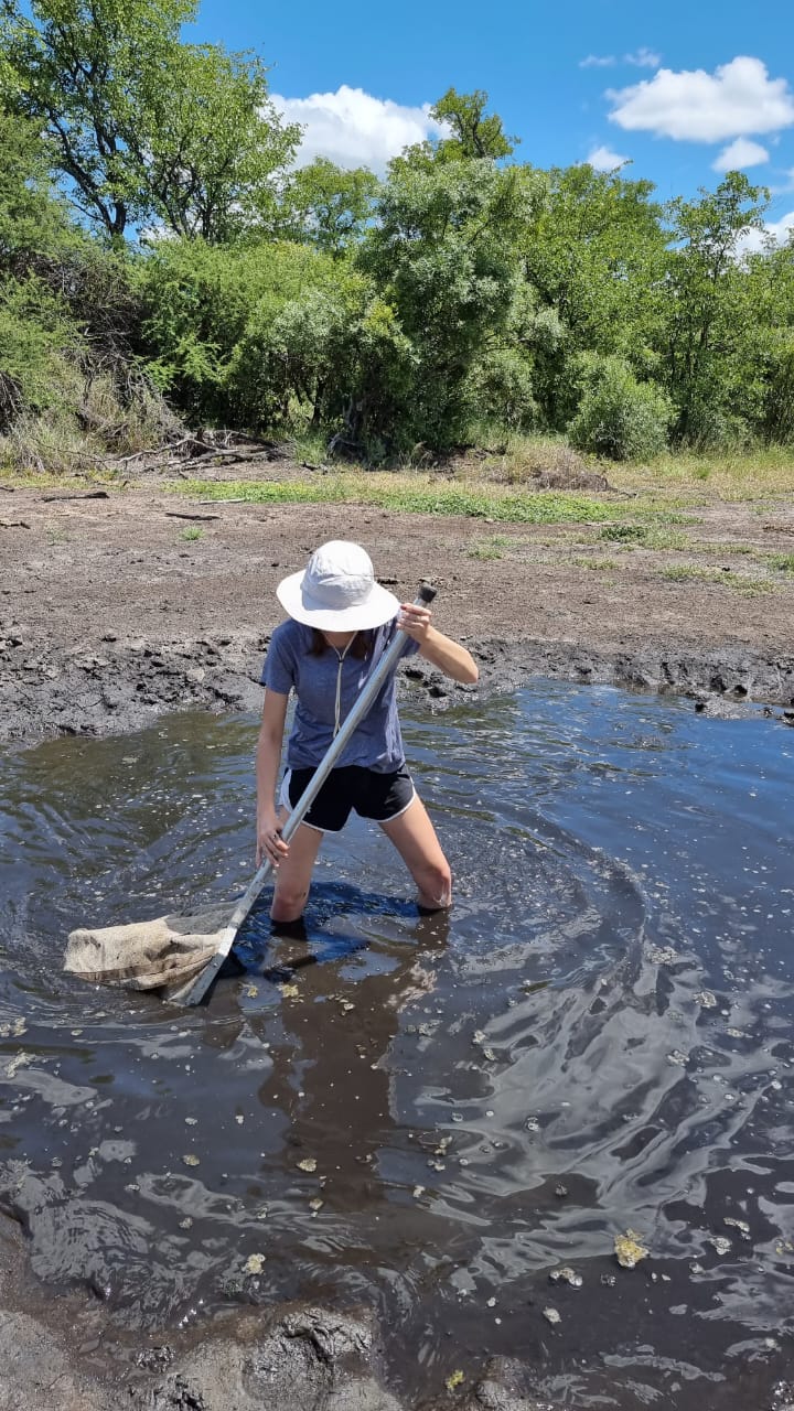 Field work in natural hot springs