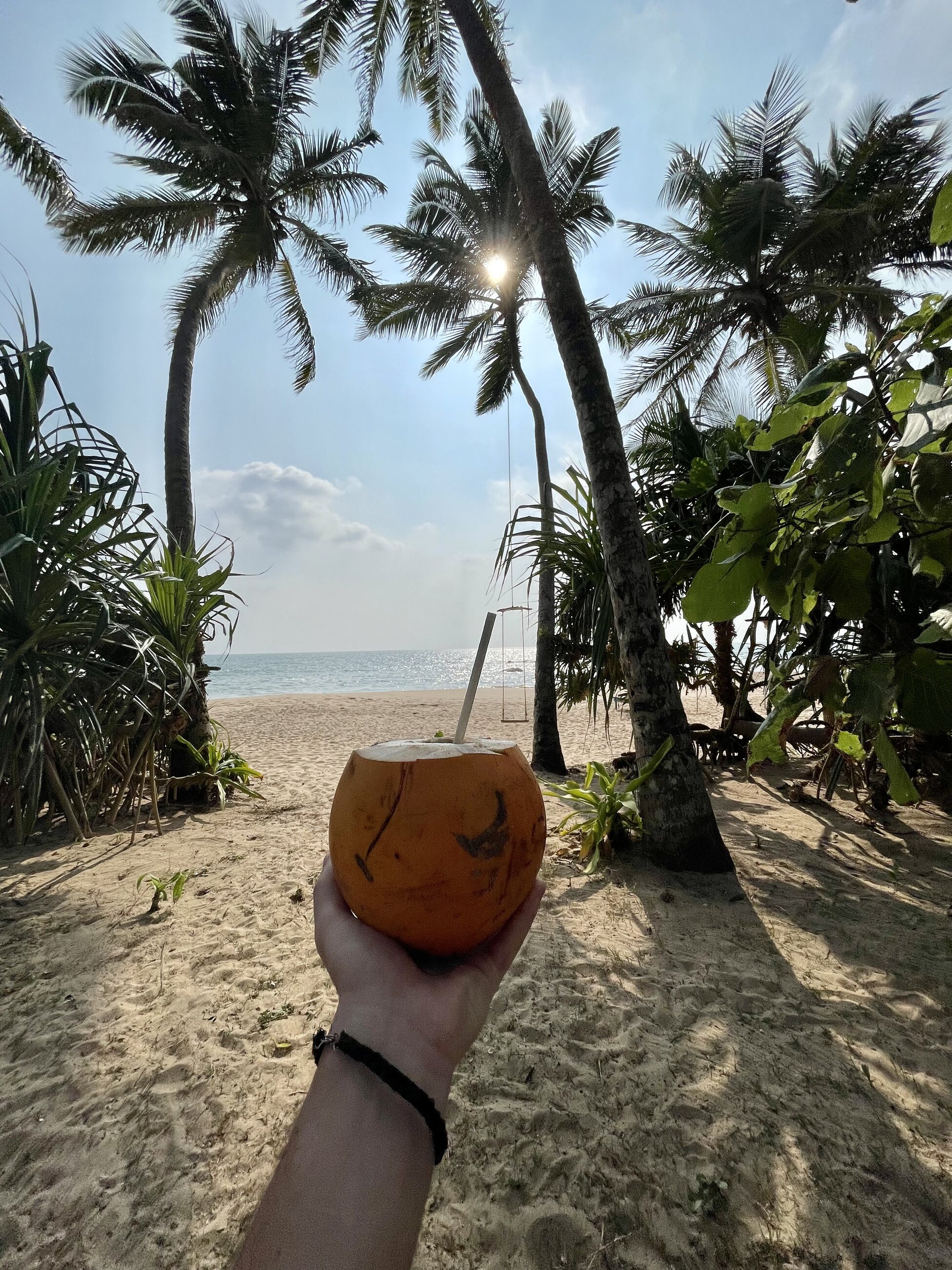 Drinking coconut water in Ambalangoda 