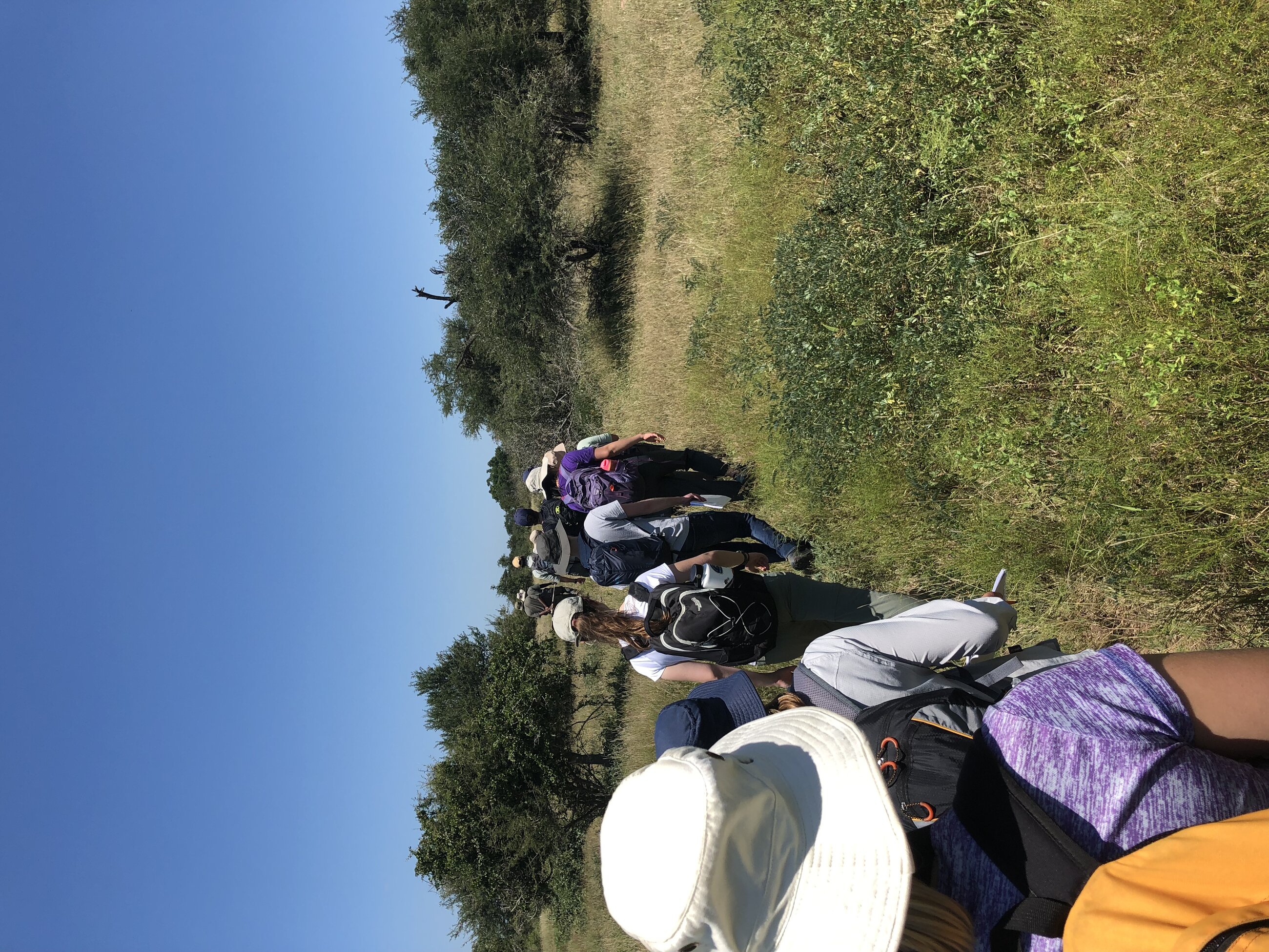 Walking through the savanna for lecture