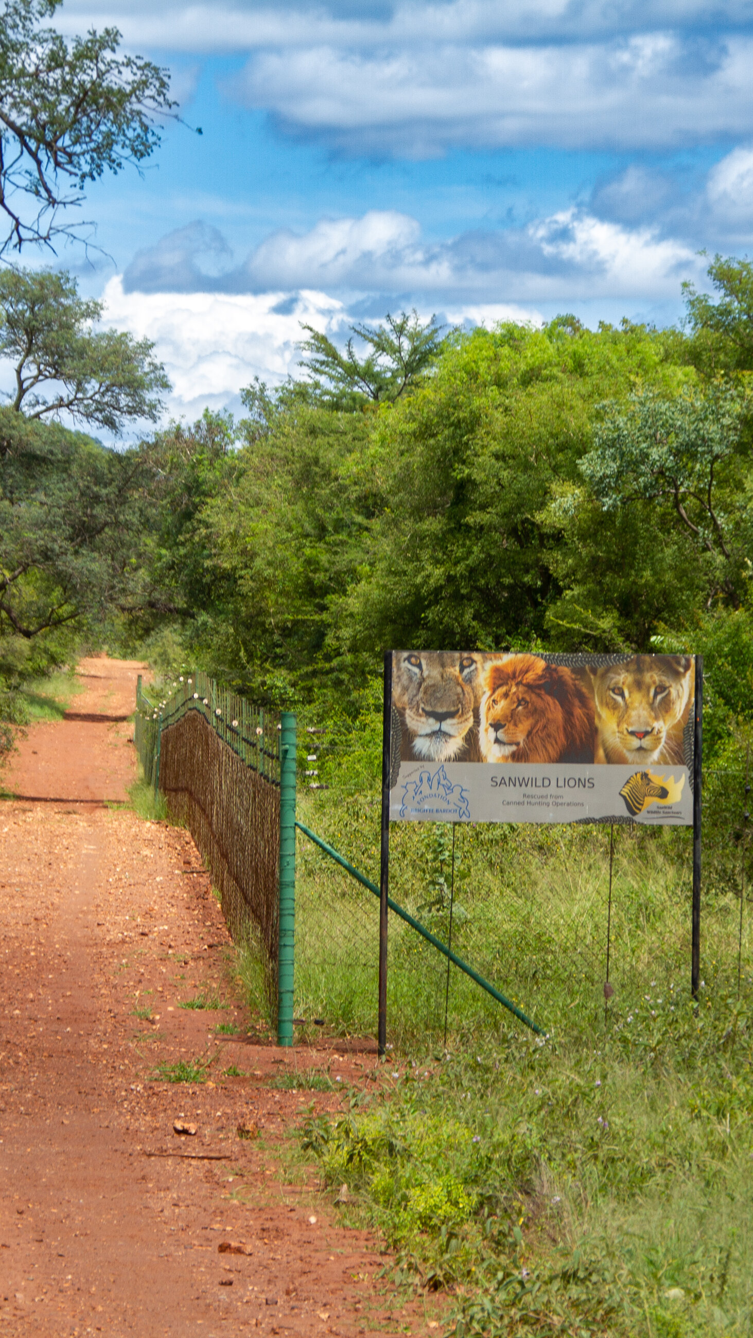 SanWild Lion Sanctuary