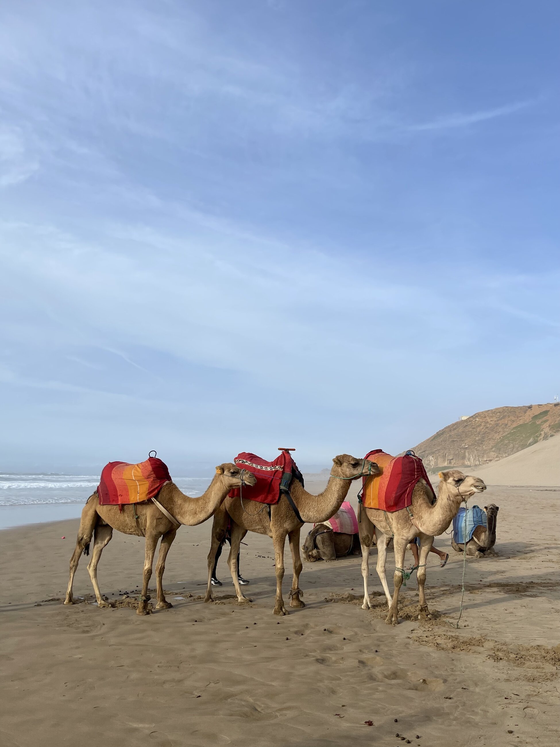 We rode camels in Morocco!