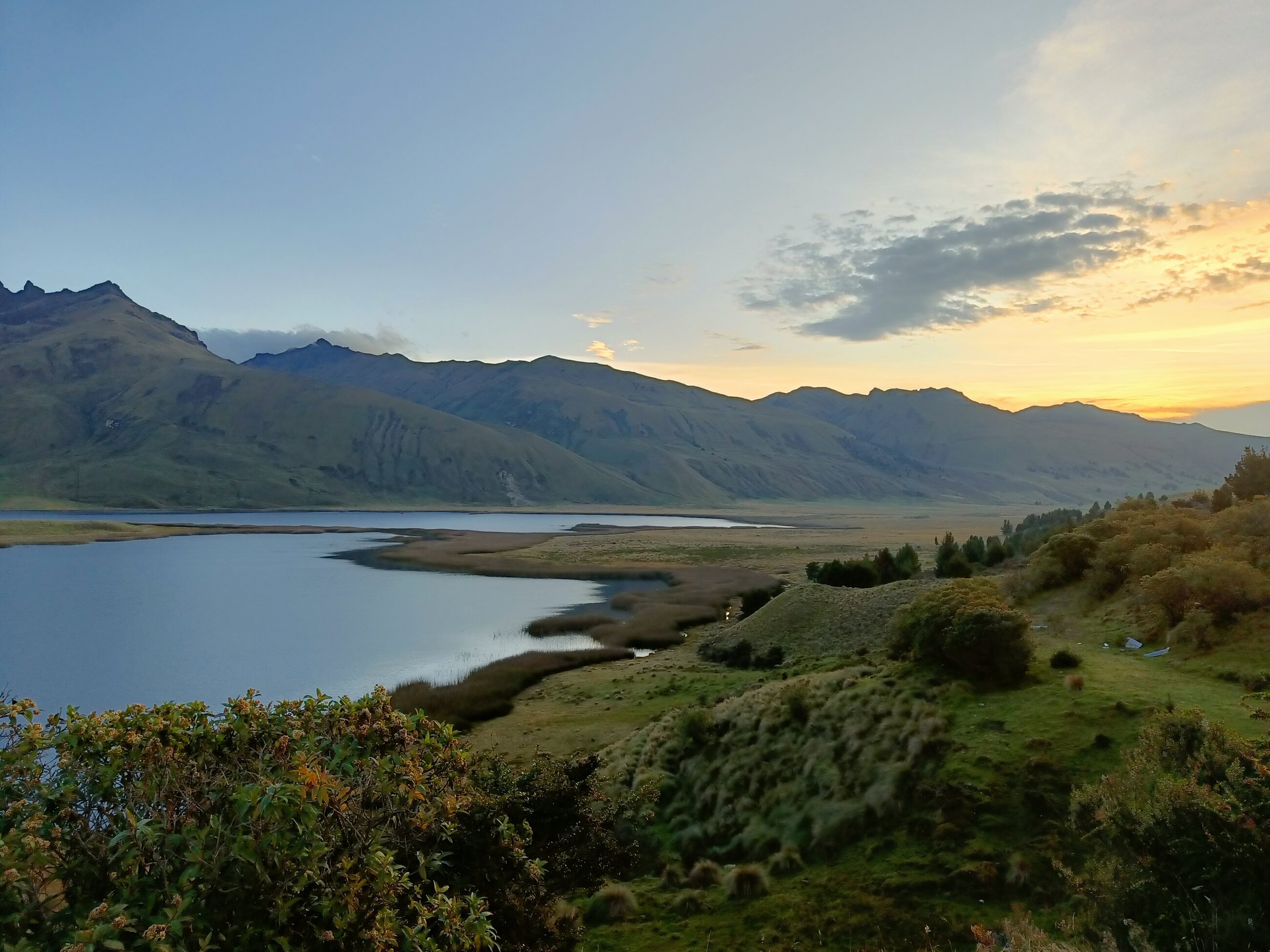 Landscape close to the center