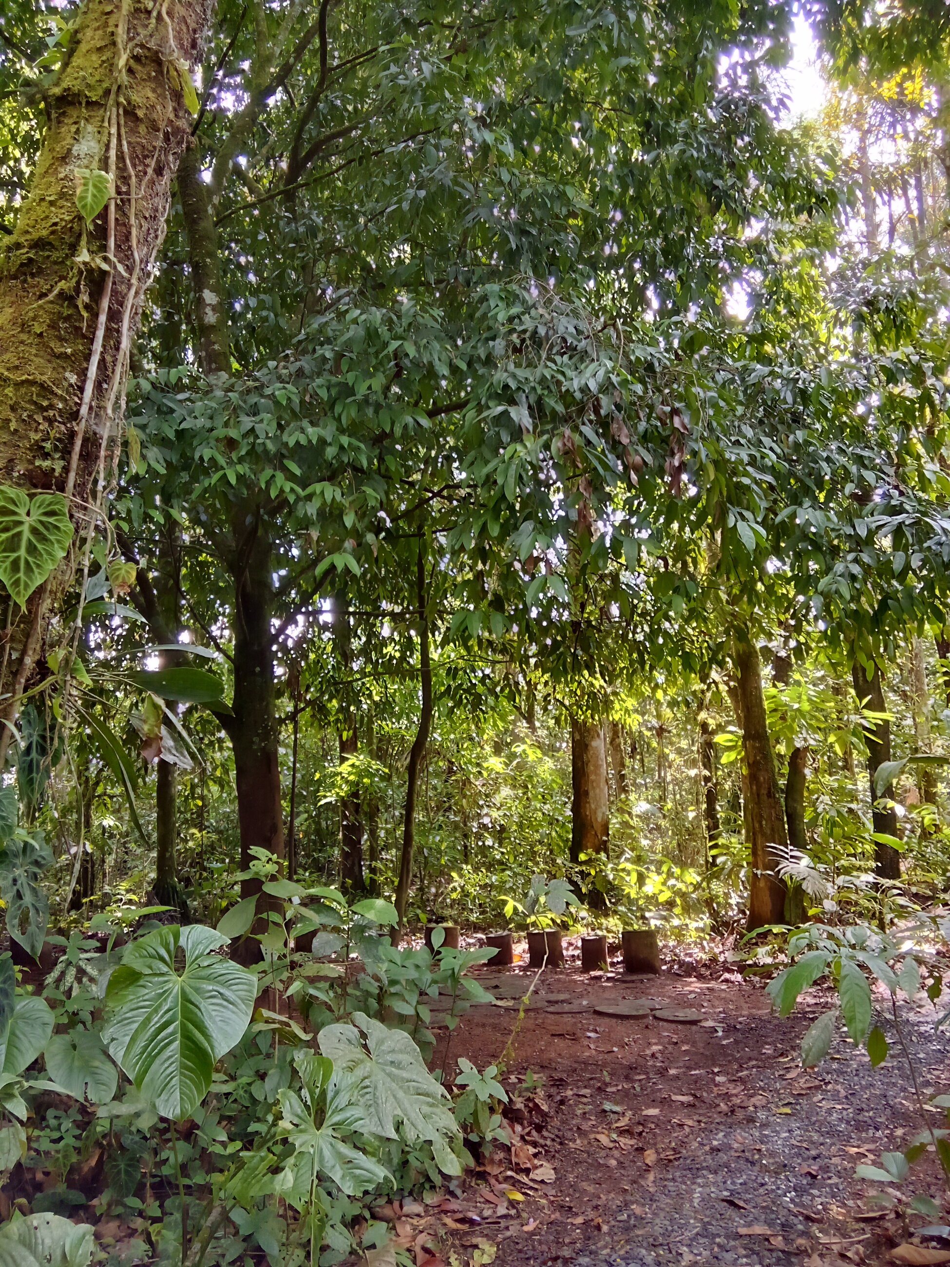 Jardín botánico