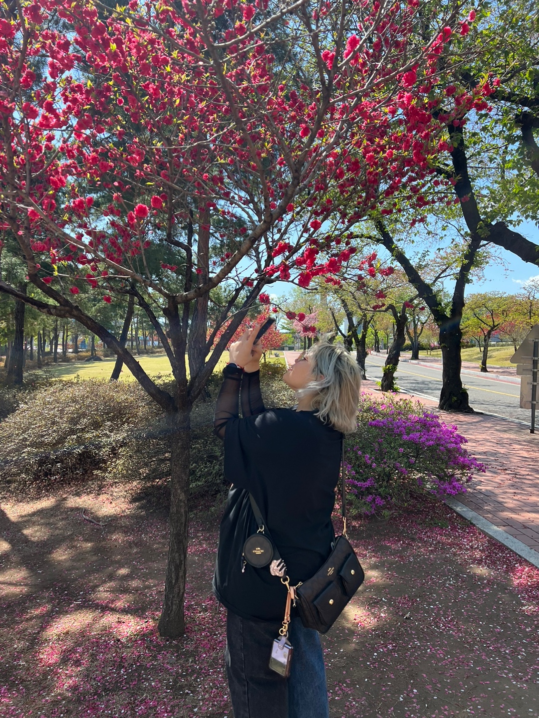 Lost in a flower dream~