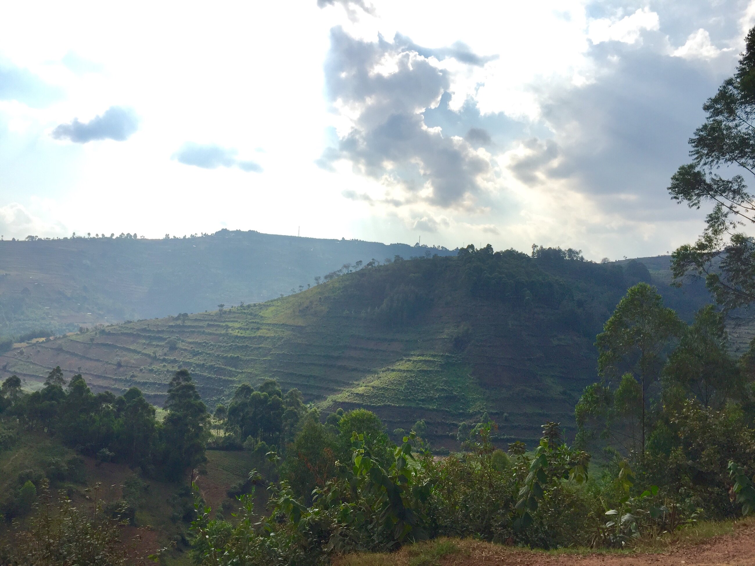 Kabale