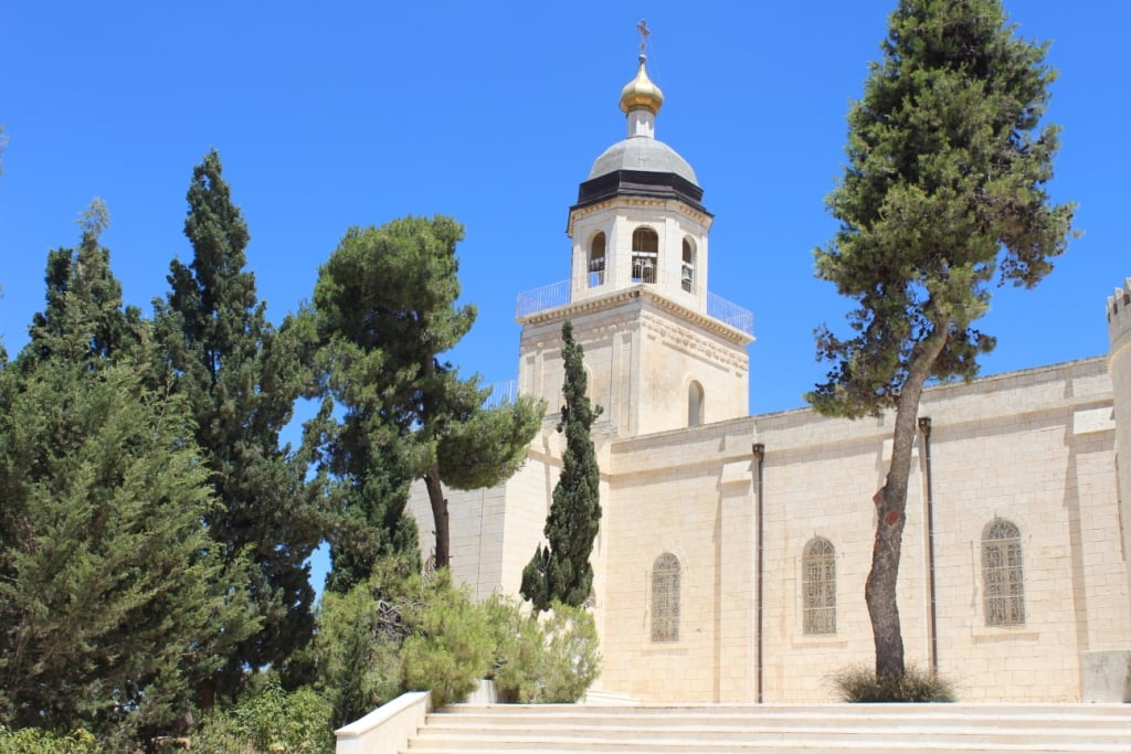 A Journey of Learning and Empathy: My Experience in Palestine