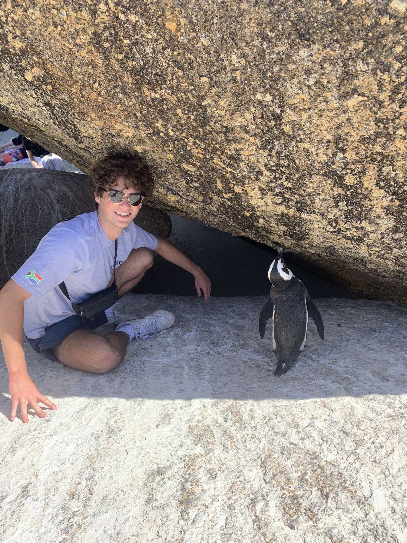Hanging with the penguins at Boulder's Beach