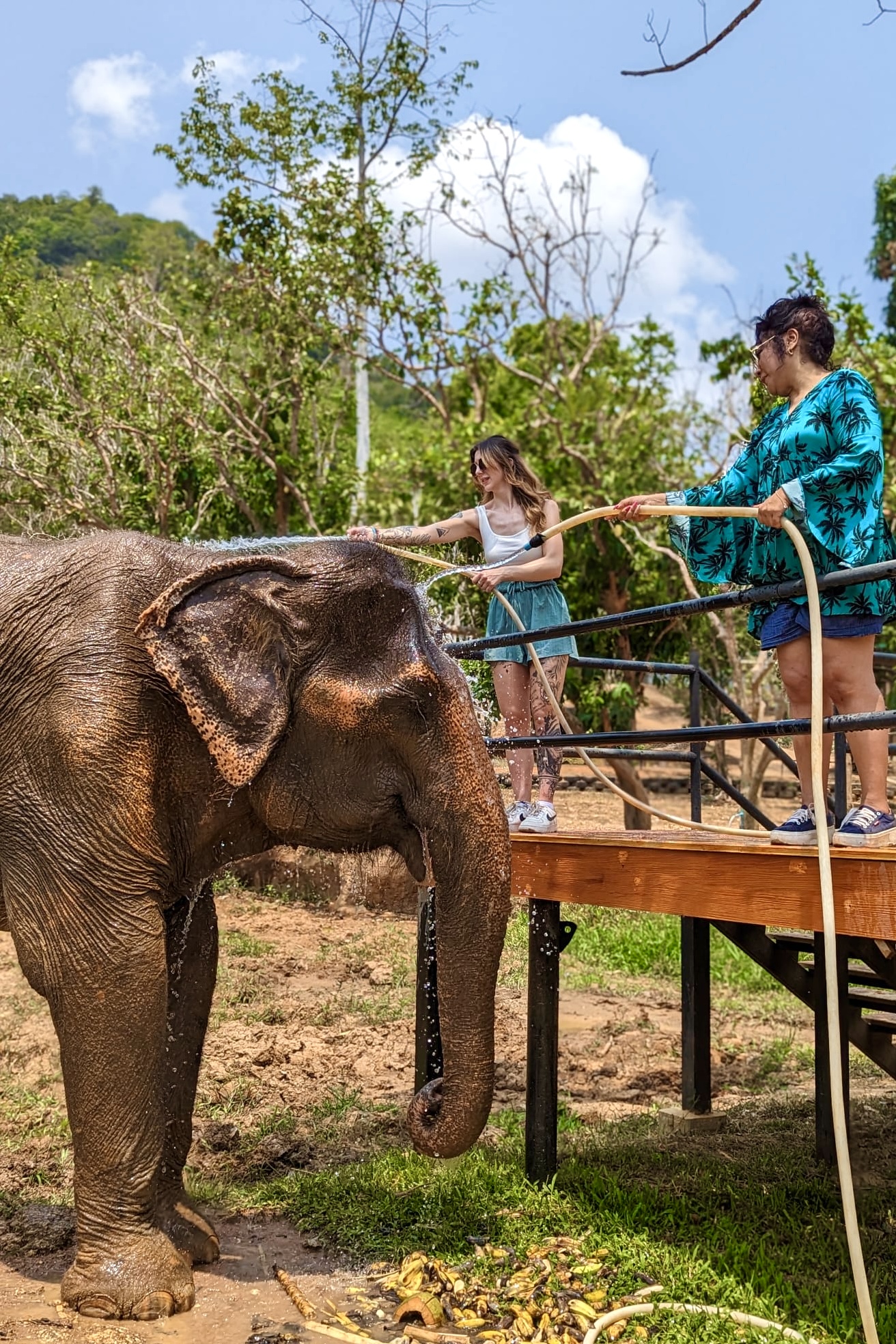 Elephant sanctuary