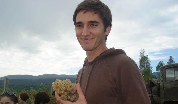 picking grapes