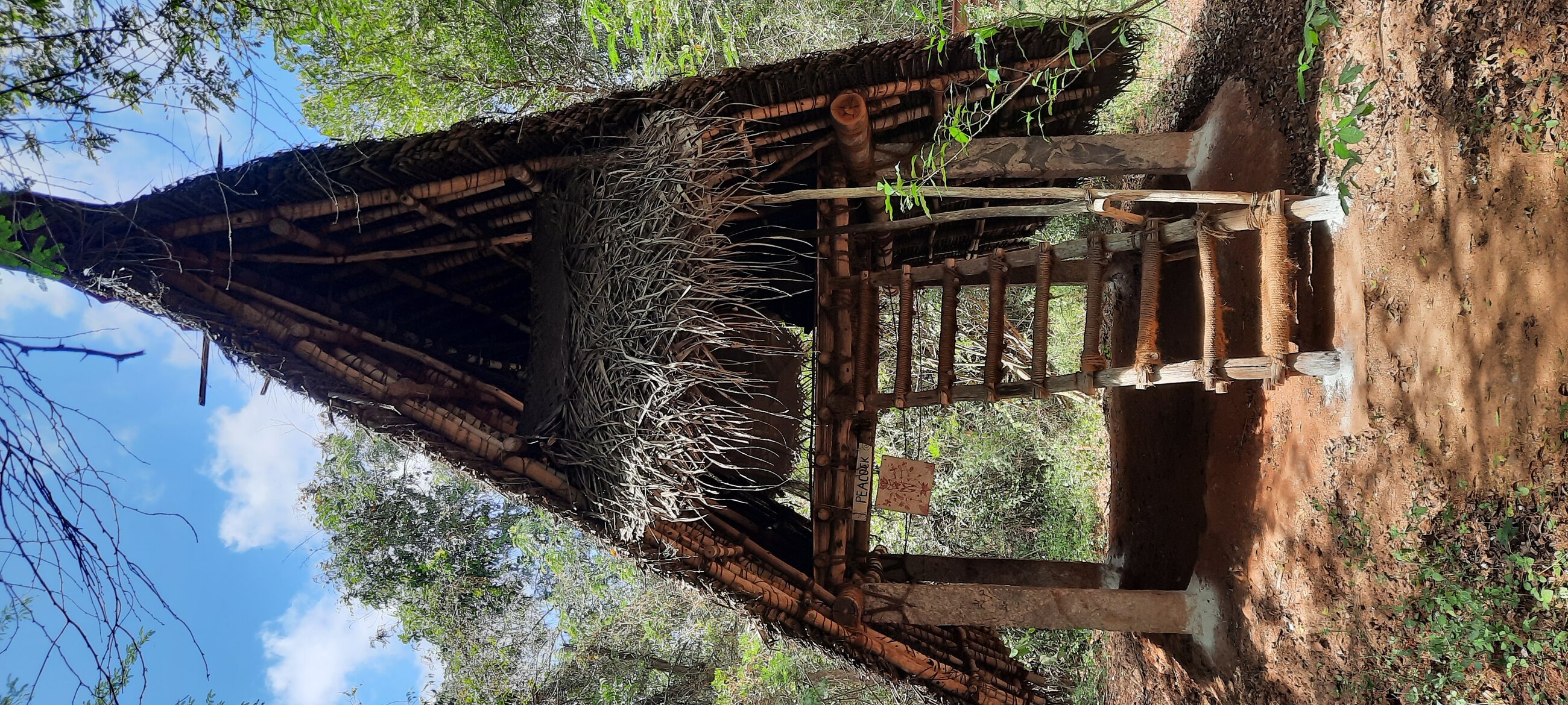 Robinson Crusoe's hut