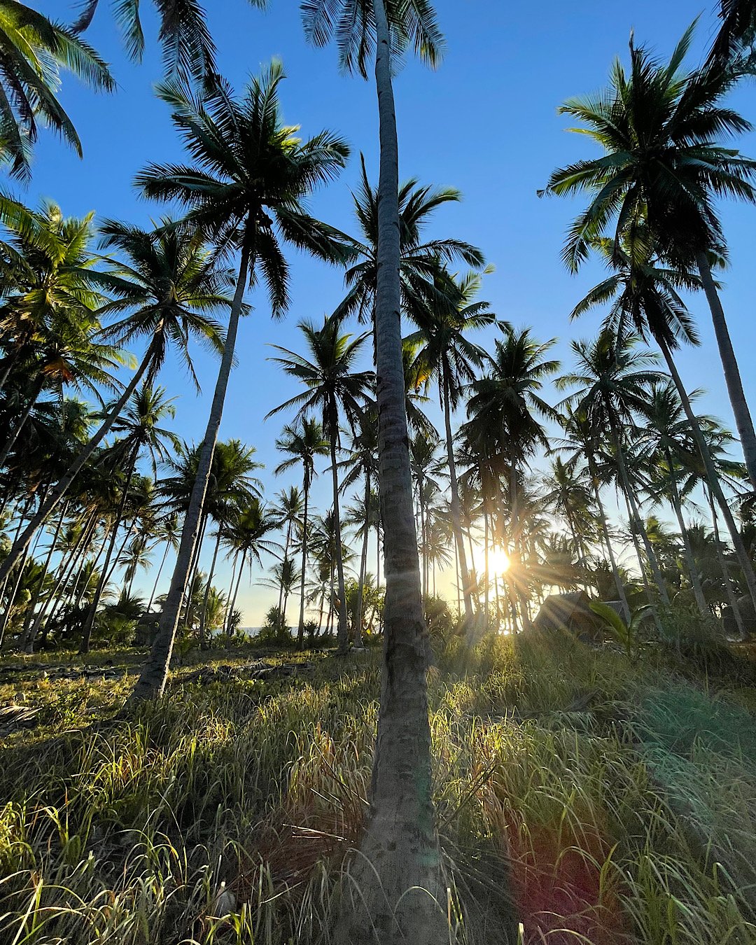 Patoyo Island