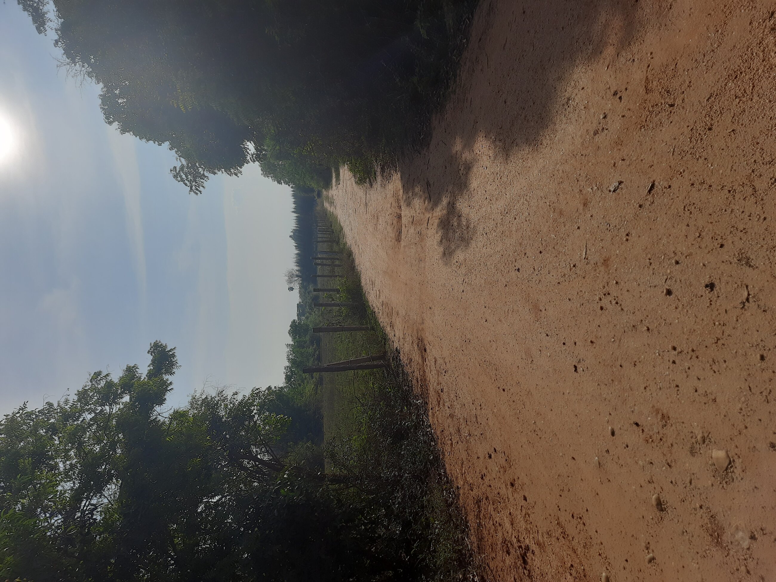 A walking trail at Sadhana Forest