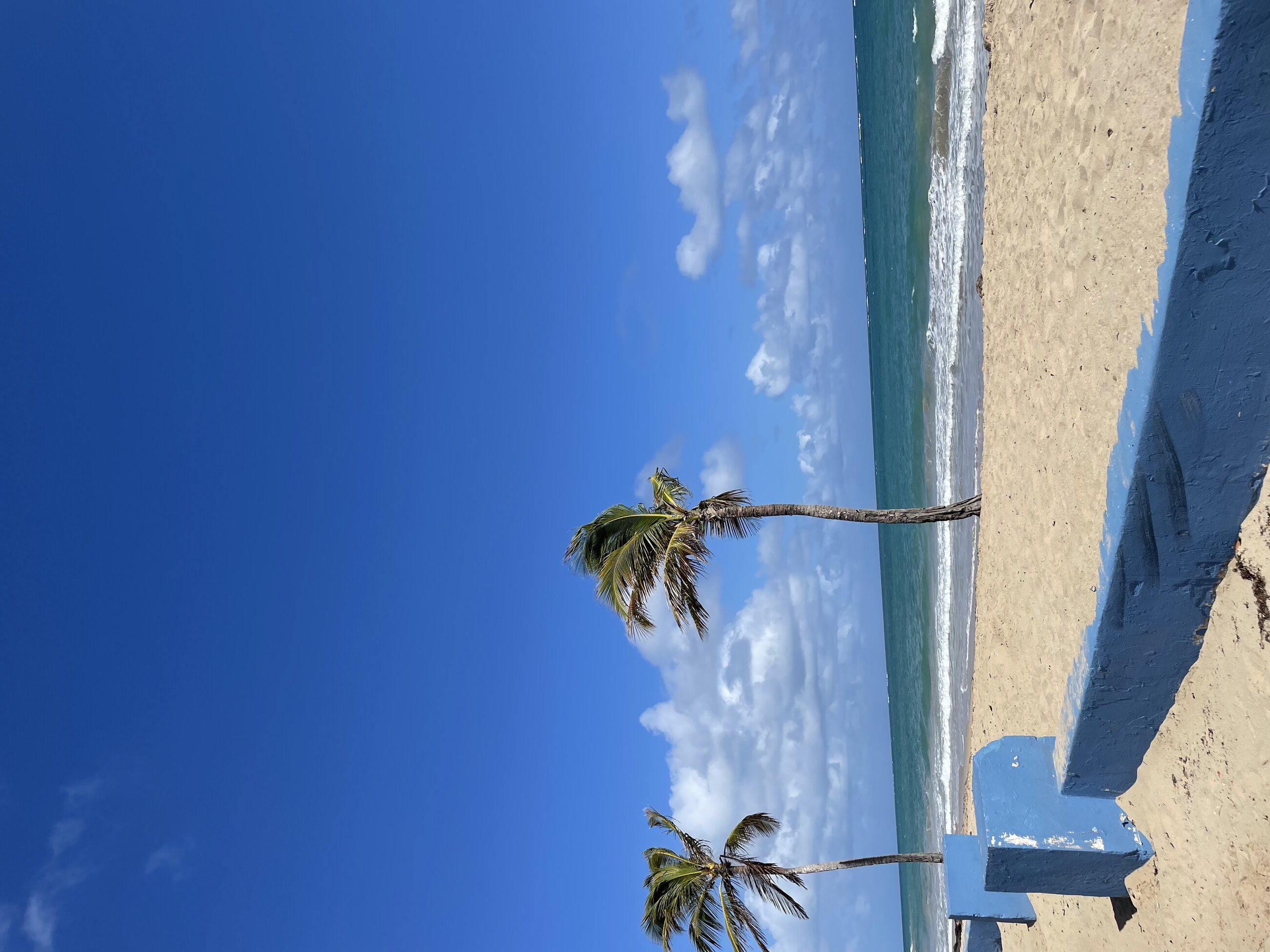 A beach near the community garden