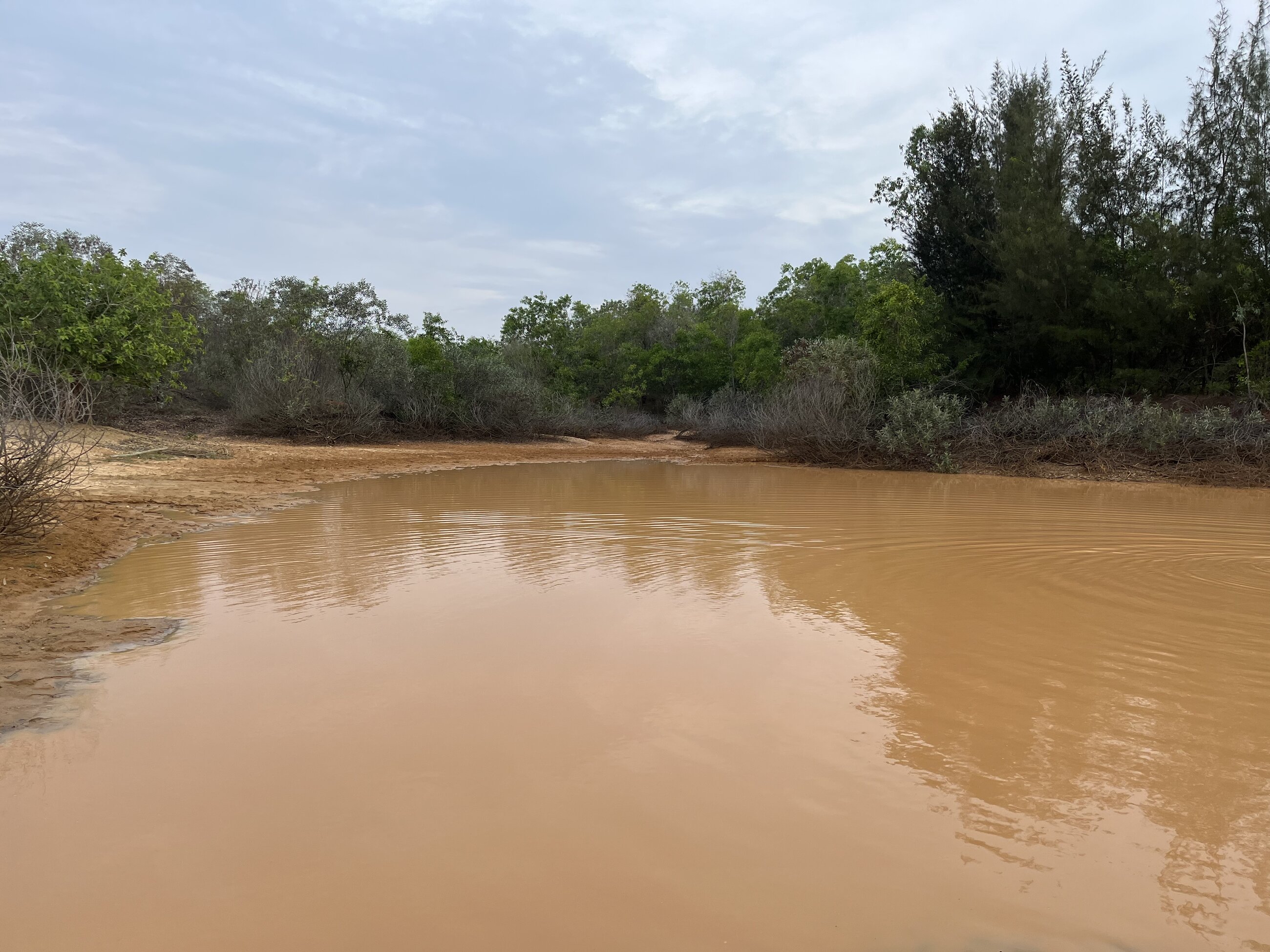 Mud pool