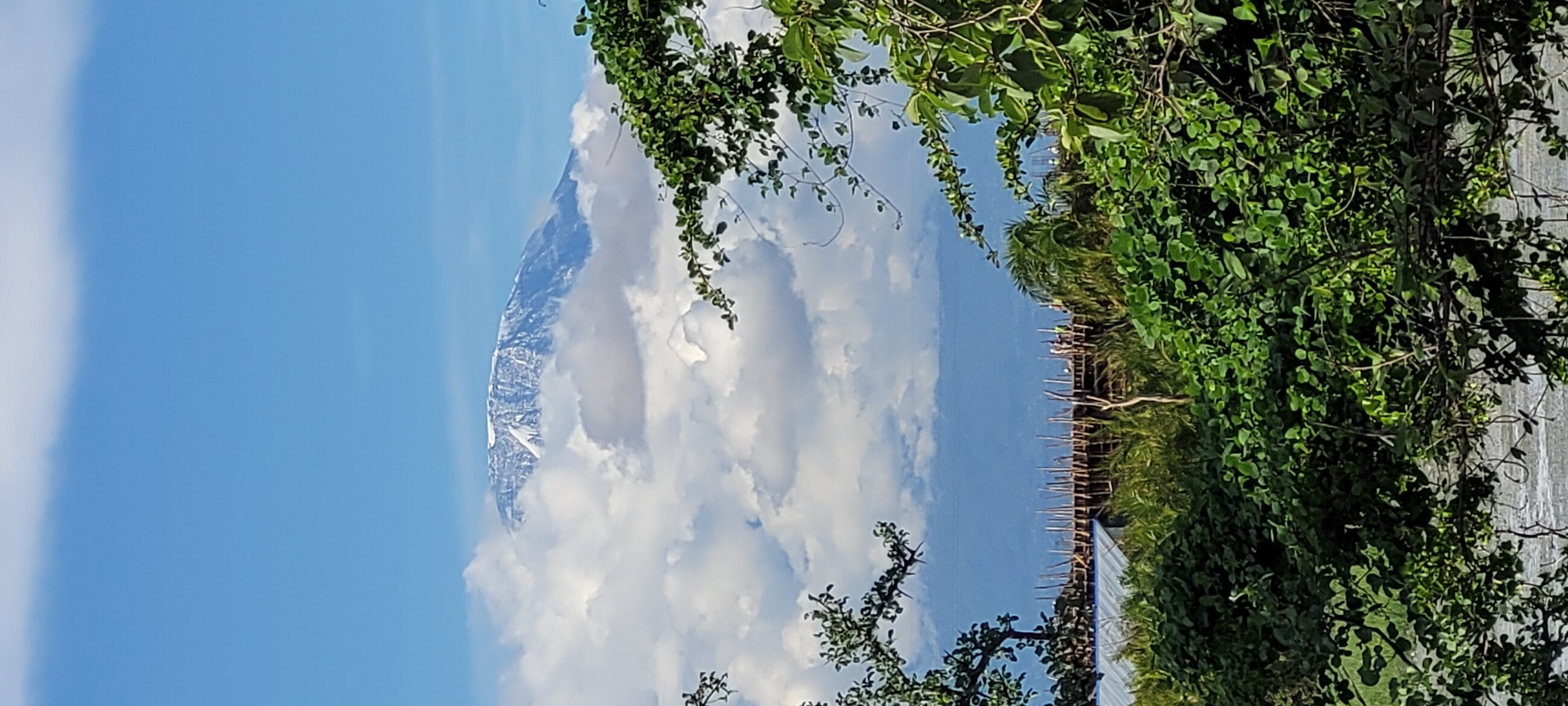 Mt Kilimanjaro