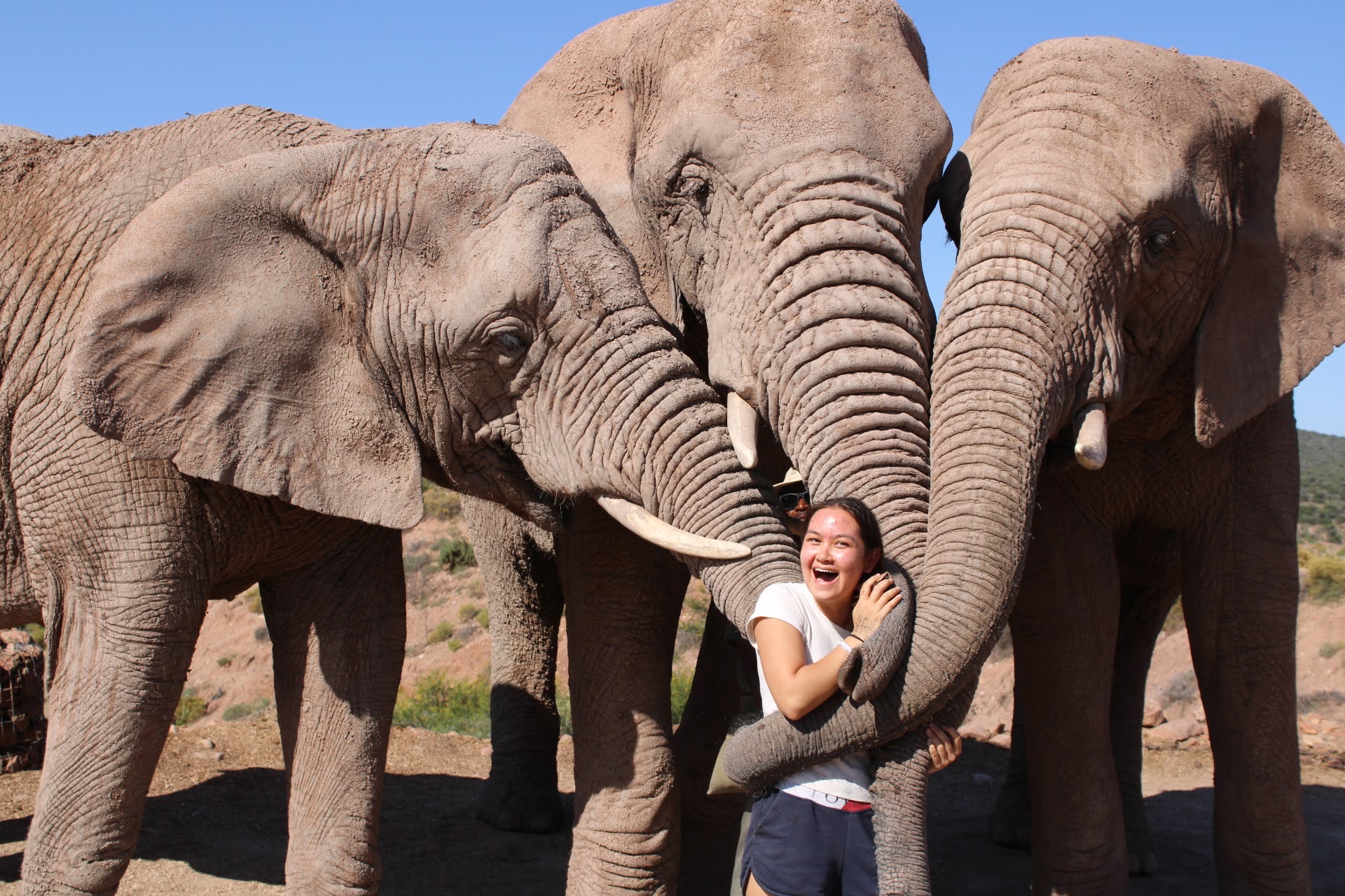 Elephant Walk, Garden Route