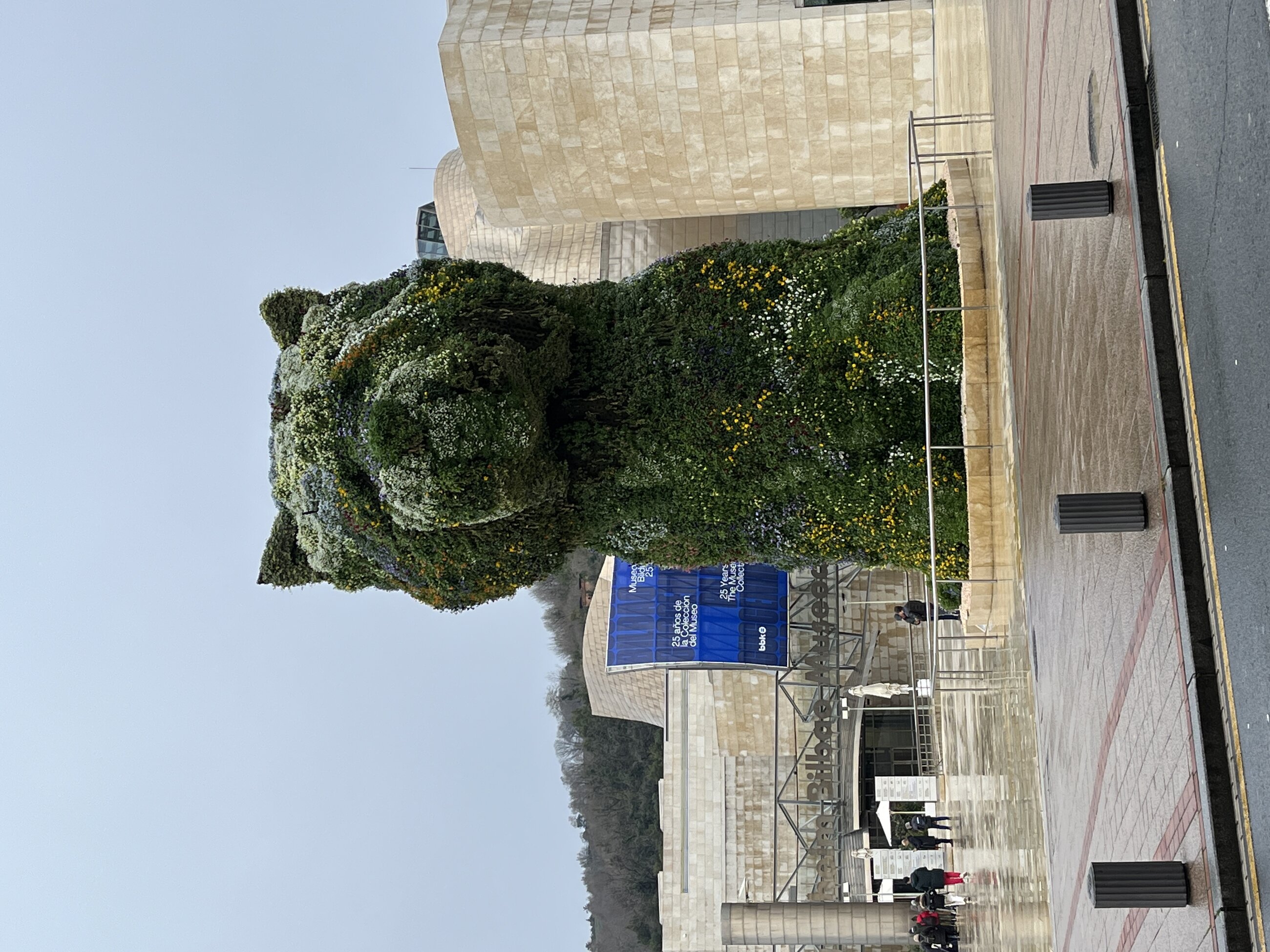 Famous Bilbao Guggenheim Puppy Statue