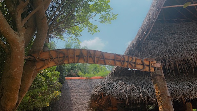 The Entrance