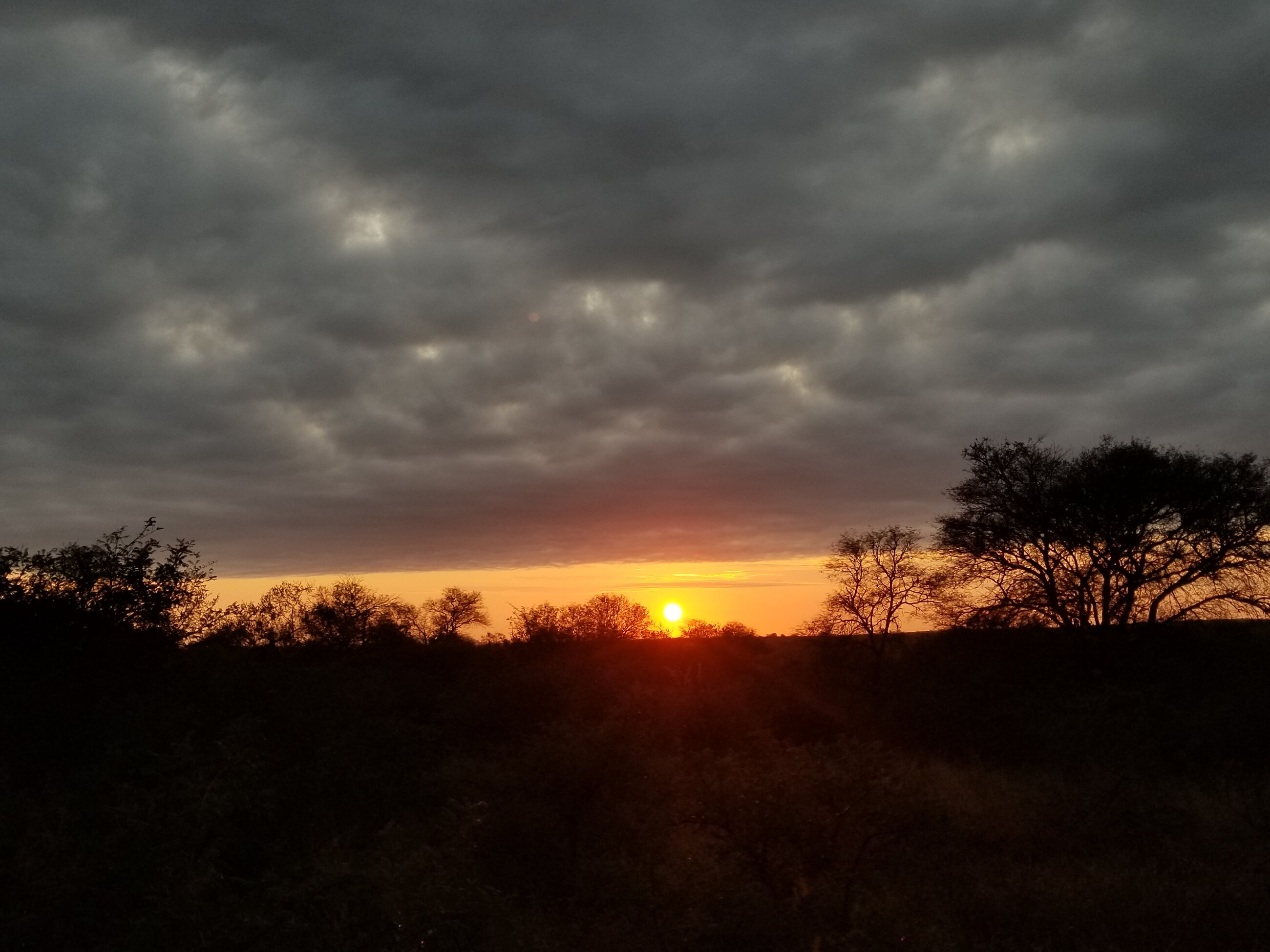 Sunset in Africa