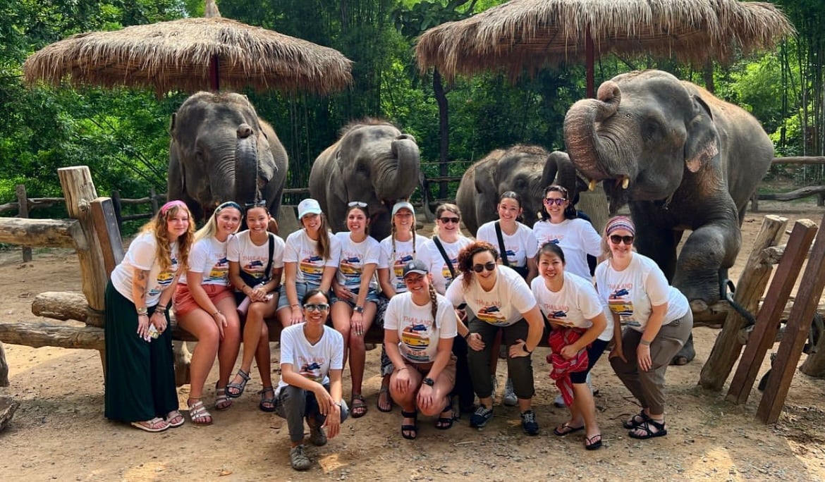 Elephant Sanctuary
