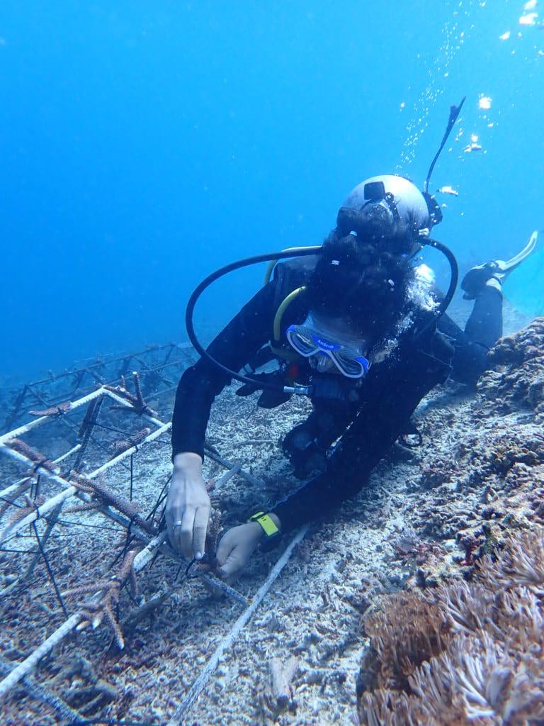 transplanting coral fragment into reef structure. Photo by Egi Pamungkas/Blue Corner Marine Research