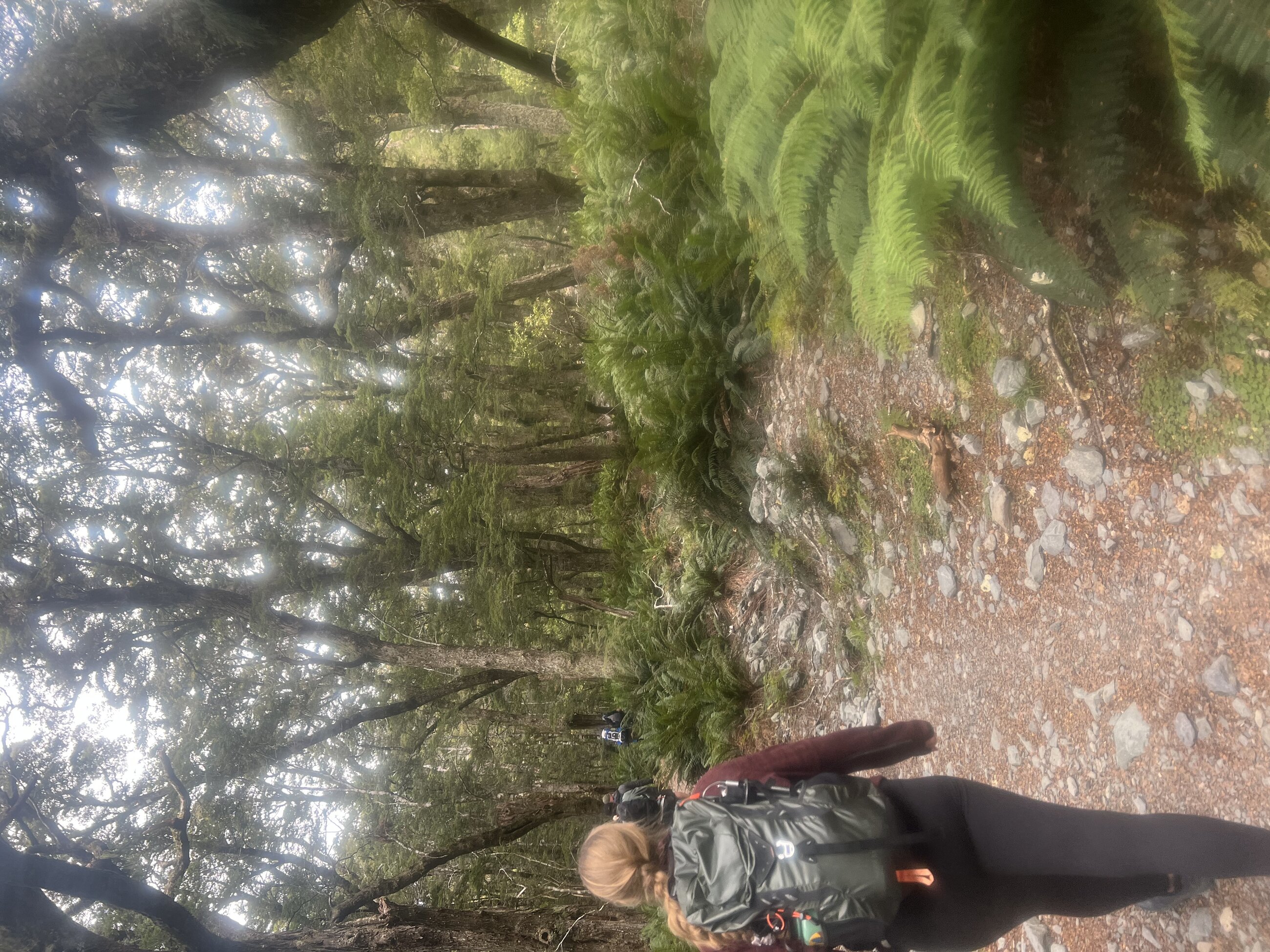 Rootburn track