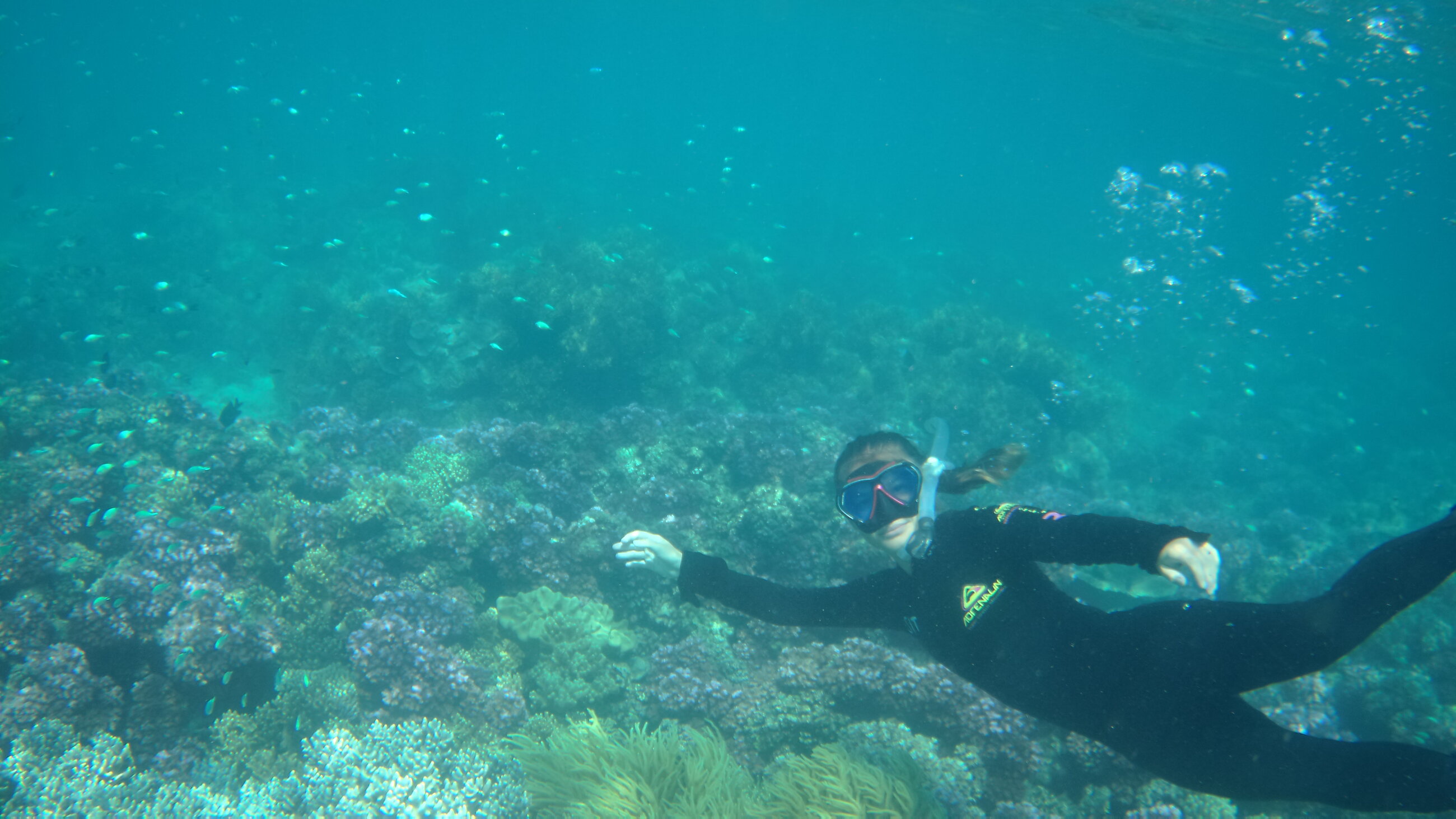 Lizard Island