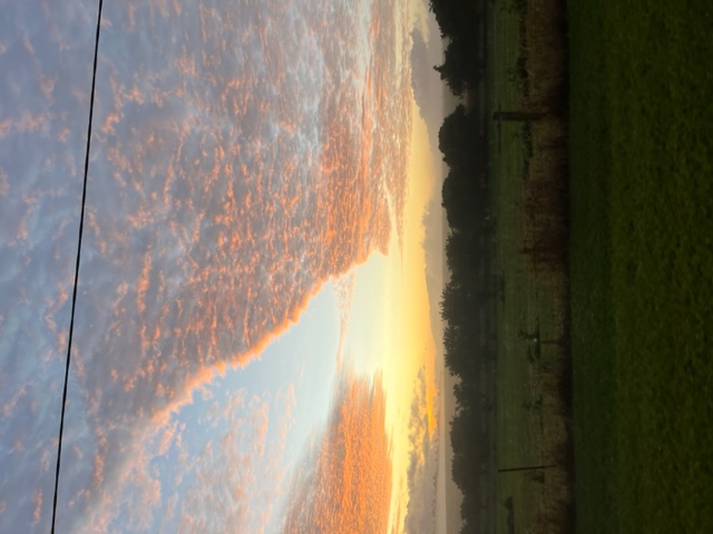 Australian Sunrise